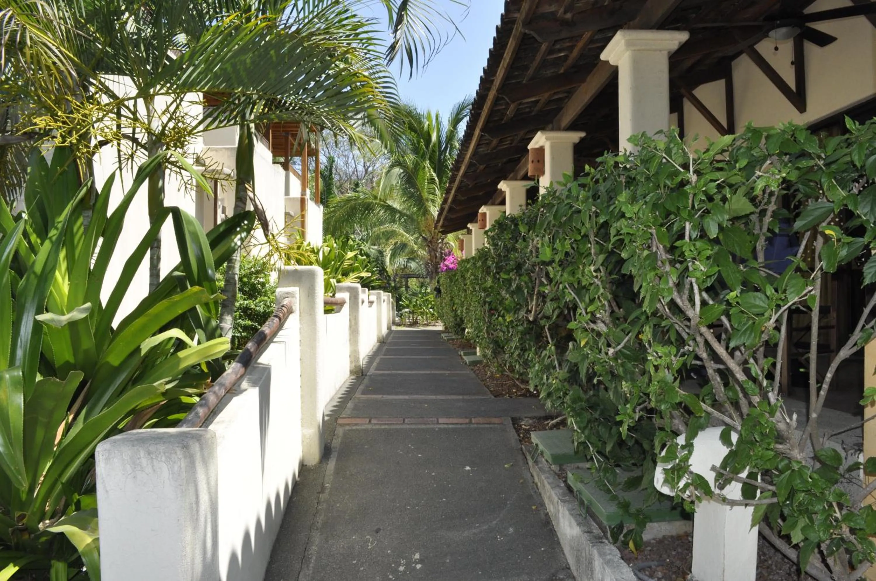 Other in Tropical Gardens Suites and Apartments