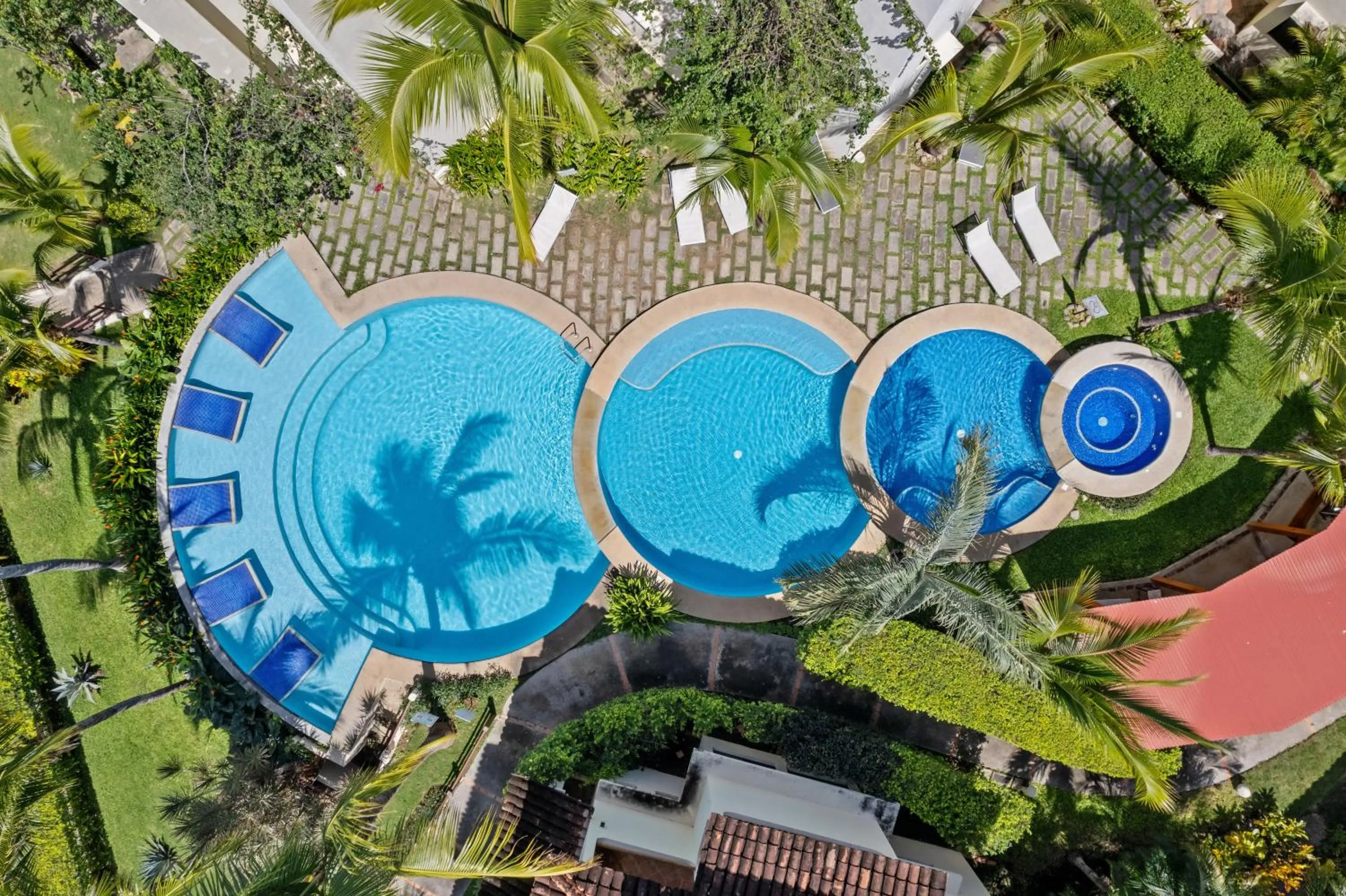 Natural landscape in Tropical Gardens Suites and Apartments