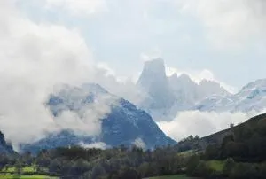 Area and facilities in Hotel & Spa Villa de Mestas