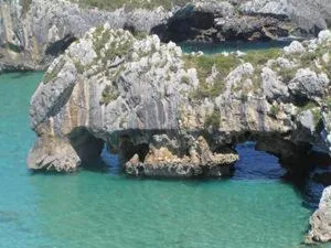 Area and facilities in Hotel & Spa Villa de Mestas