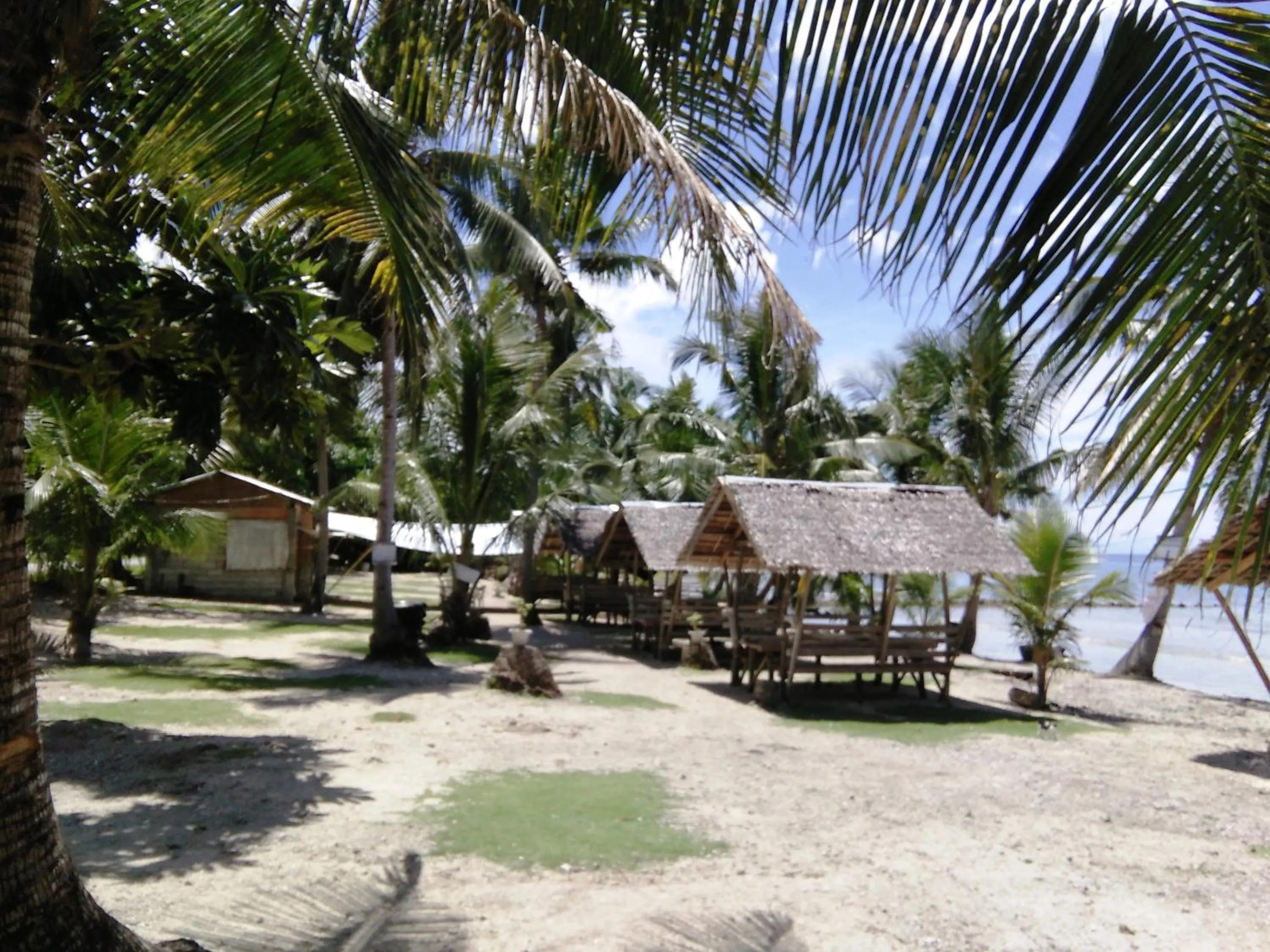 Garden in RedDoorz @ Western Highway Lodge Hotel