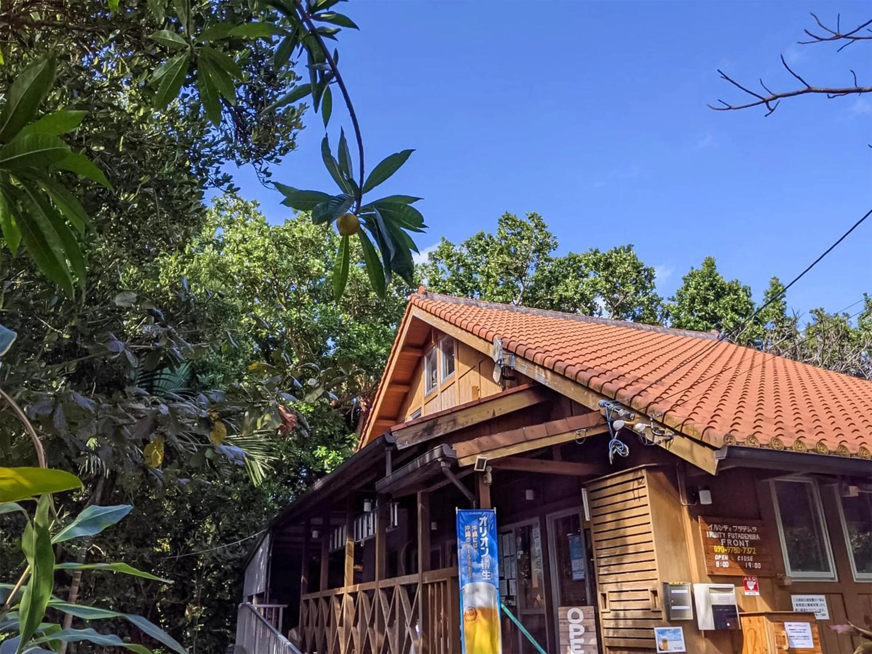 Area and facilities in Irunty Futademura