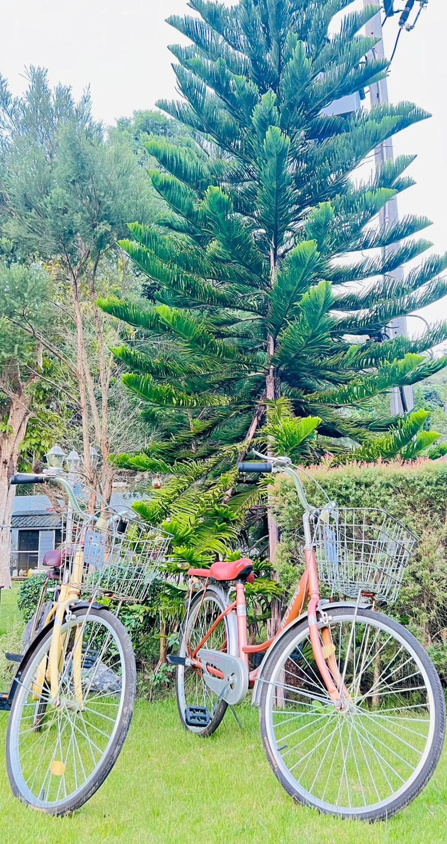 Garden in Hillsborough The English Country House Hotel & Leisure