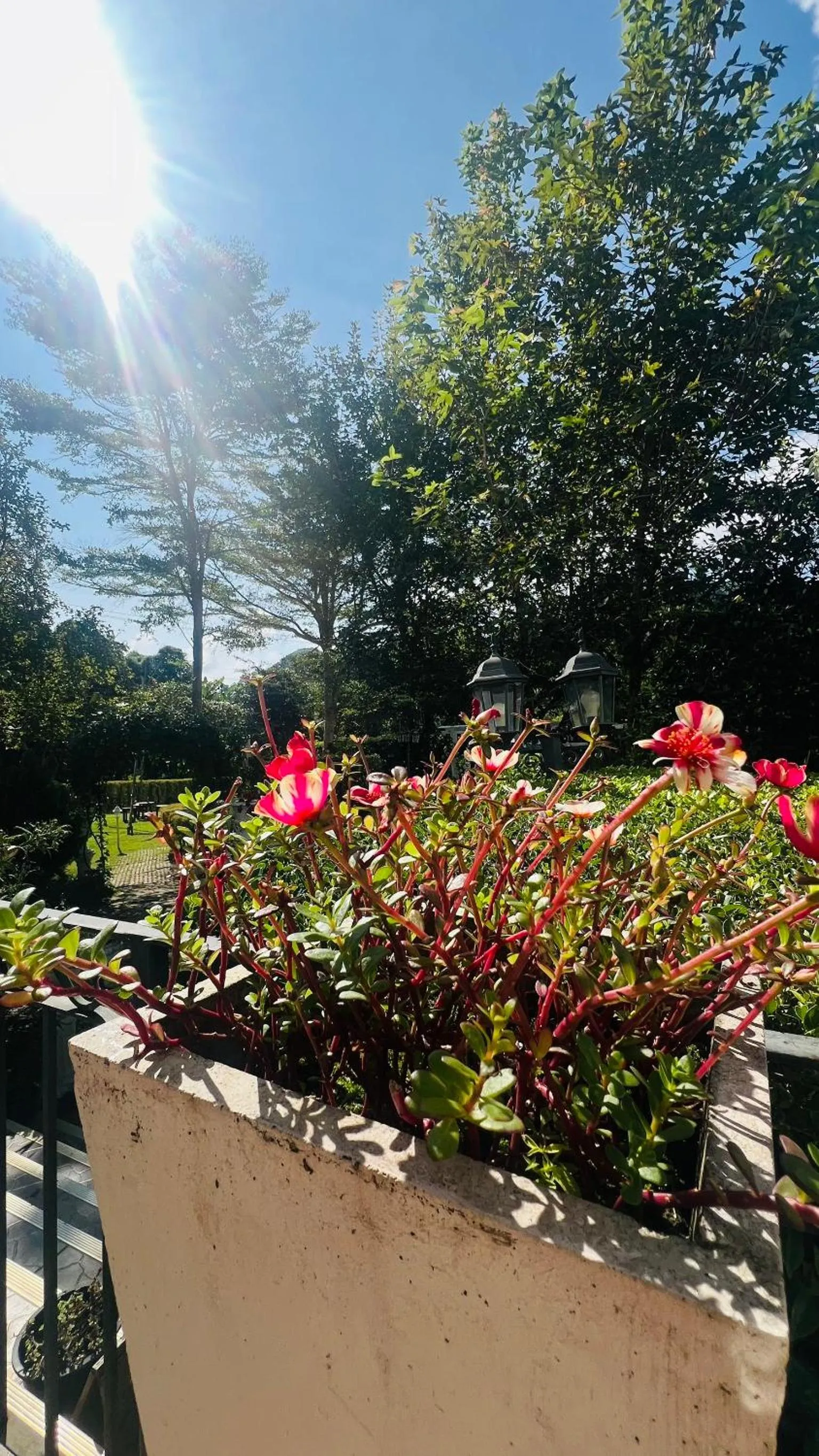 Garden in Hillsborough The English Country House Hotel & Leisure