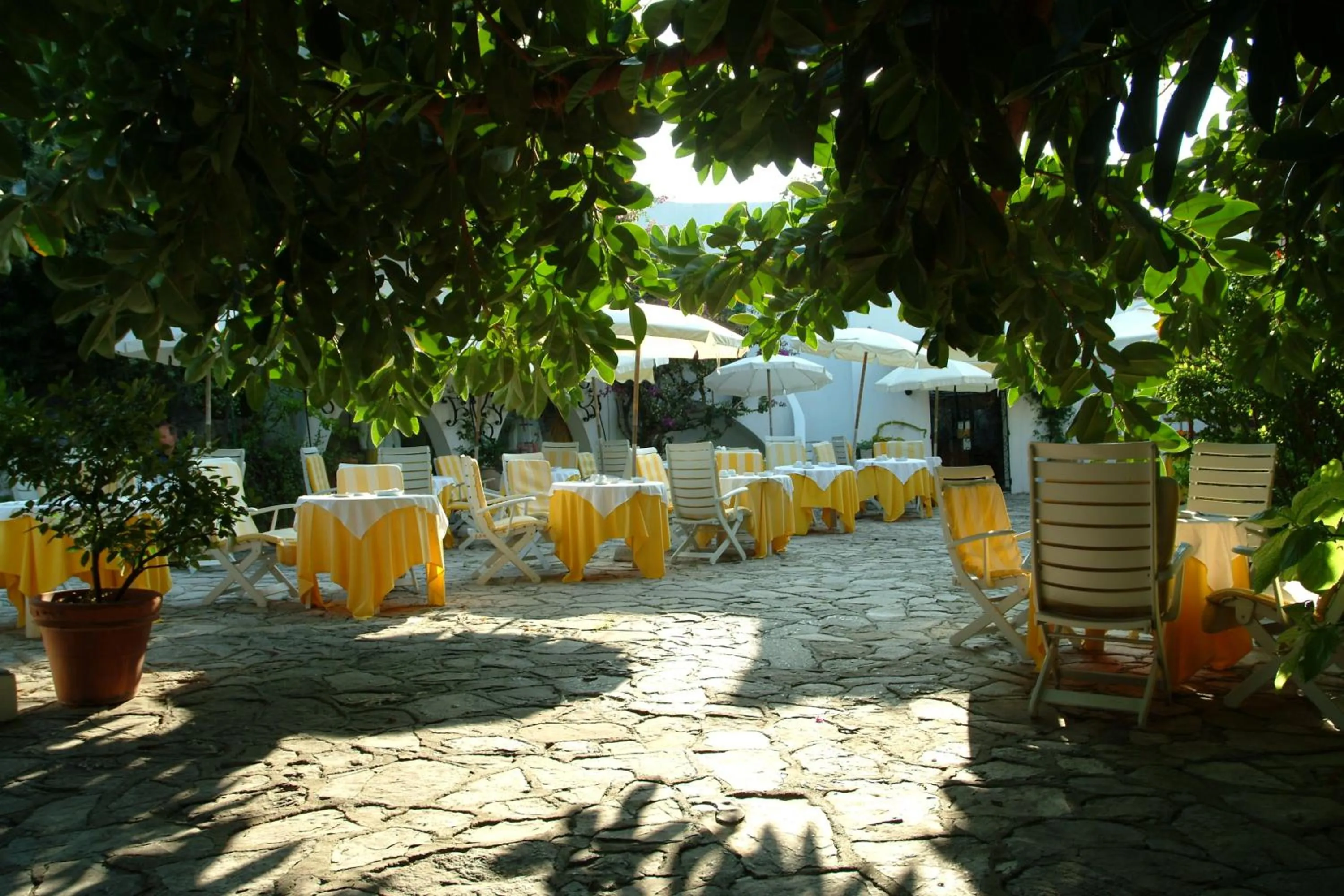 Restaurant/places to eat in Hotel Punta Rossa