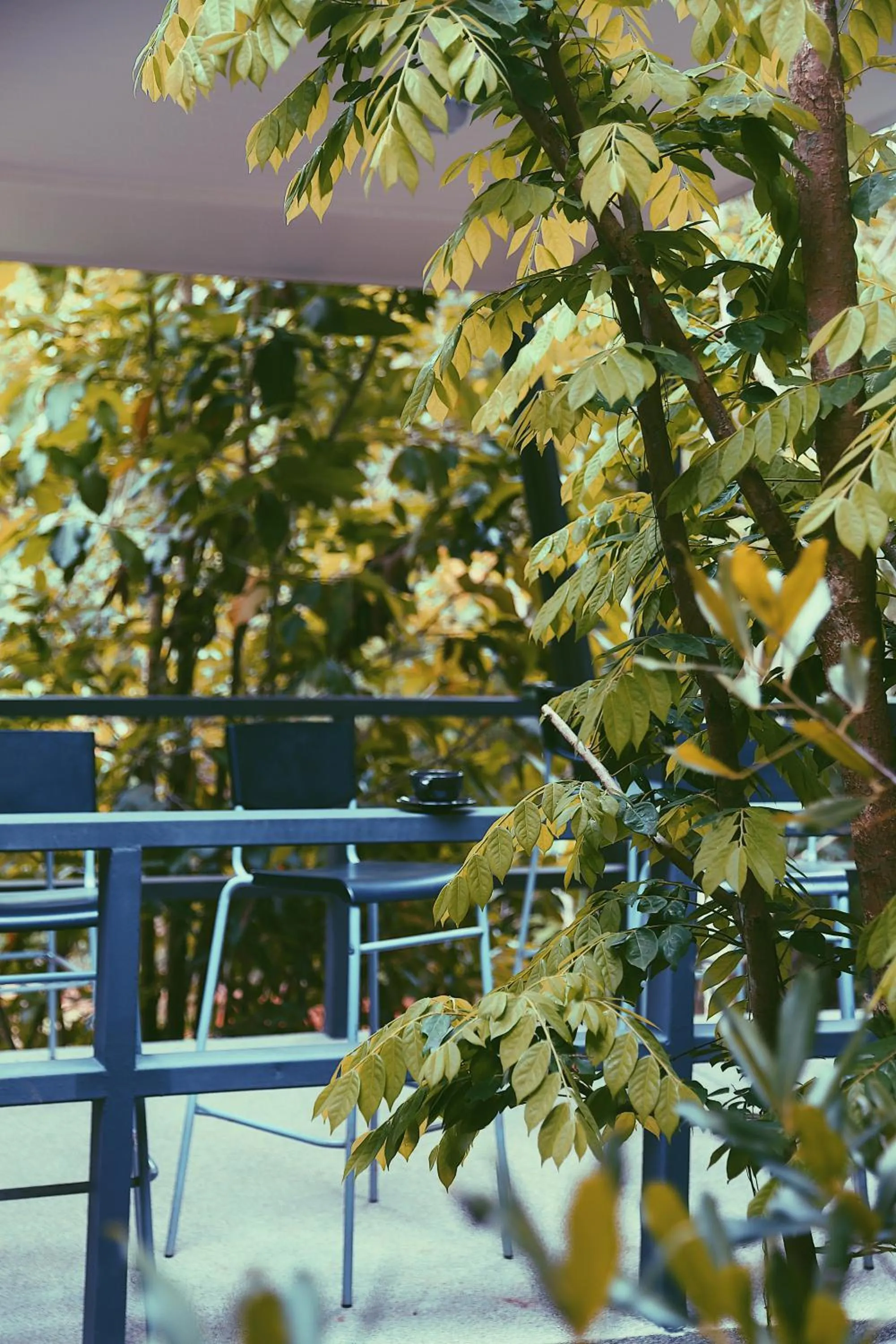 Restaurant/places to eat in Na Sook Wellness Resort