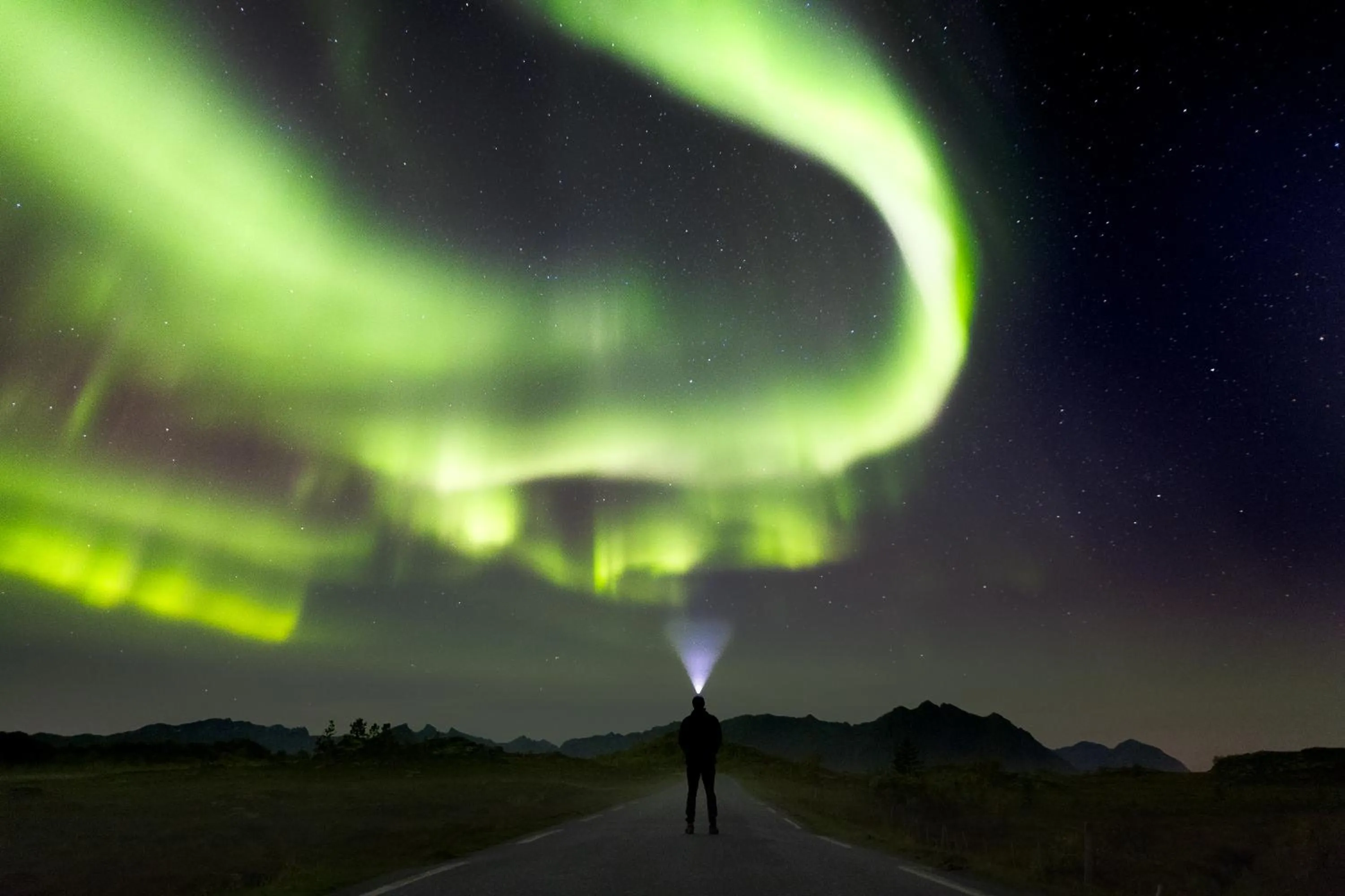 Natural landscape in Lofoten Apartments