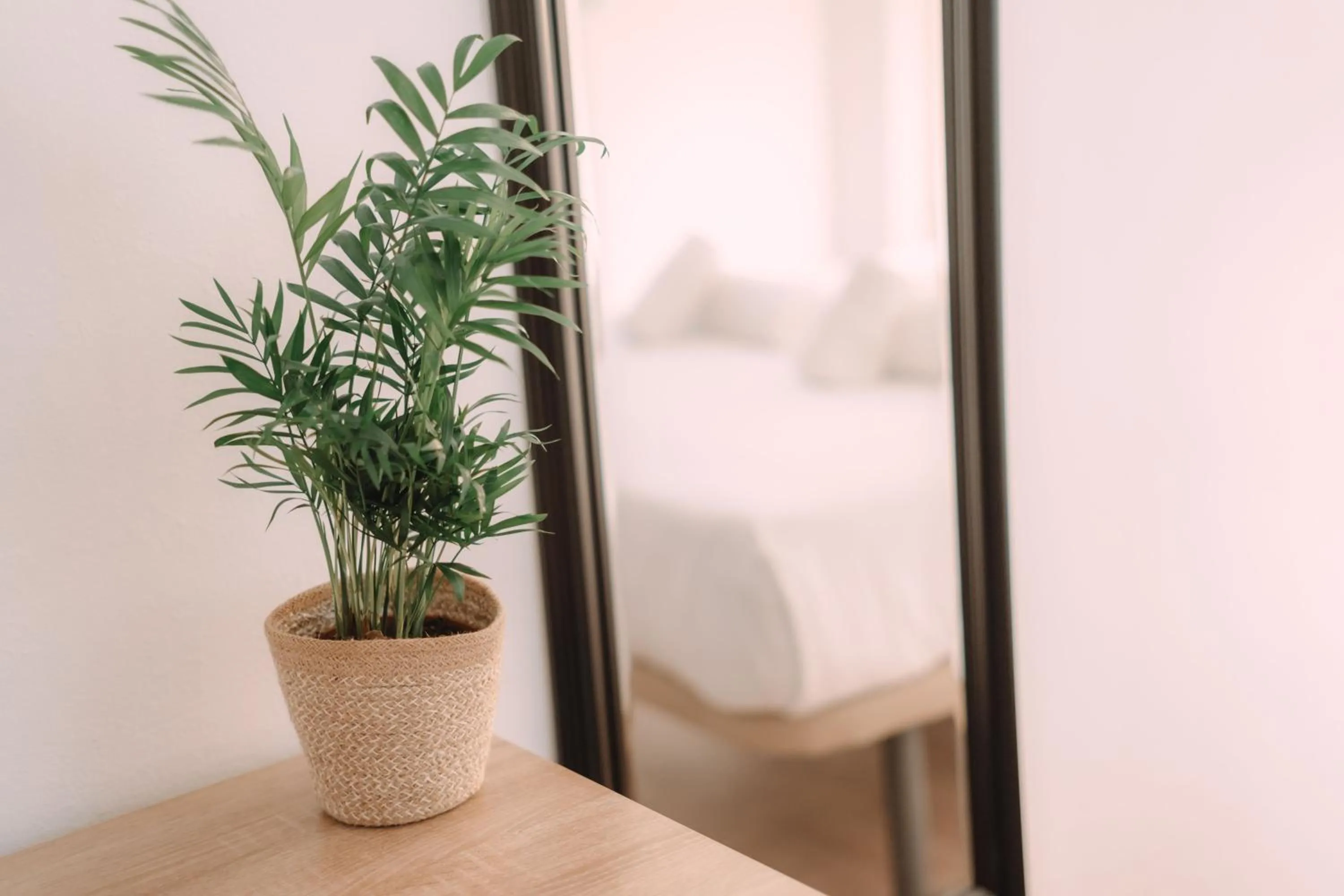 Bed in Concept Rooms