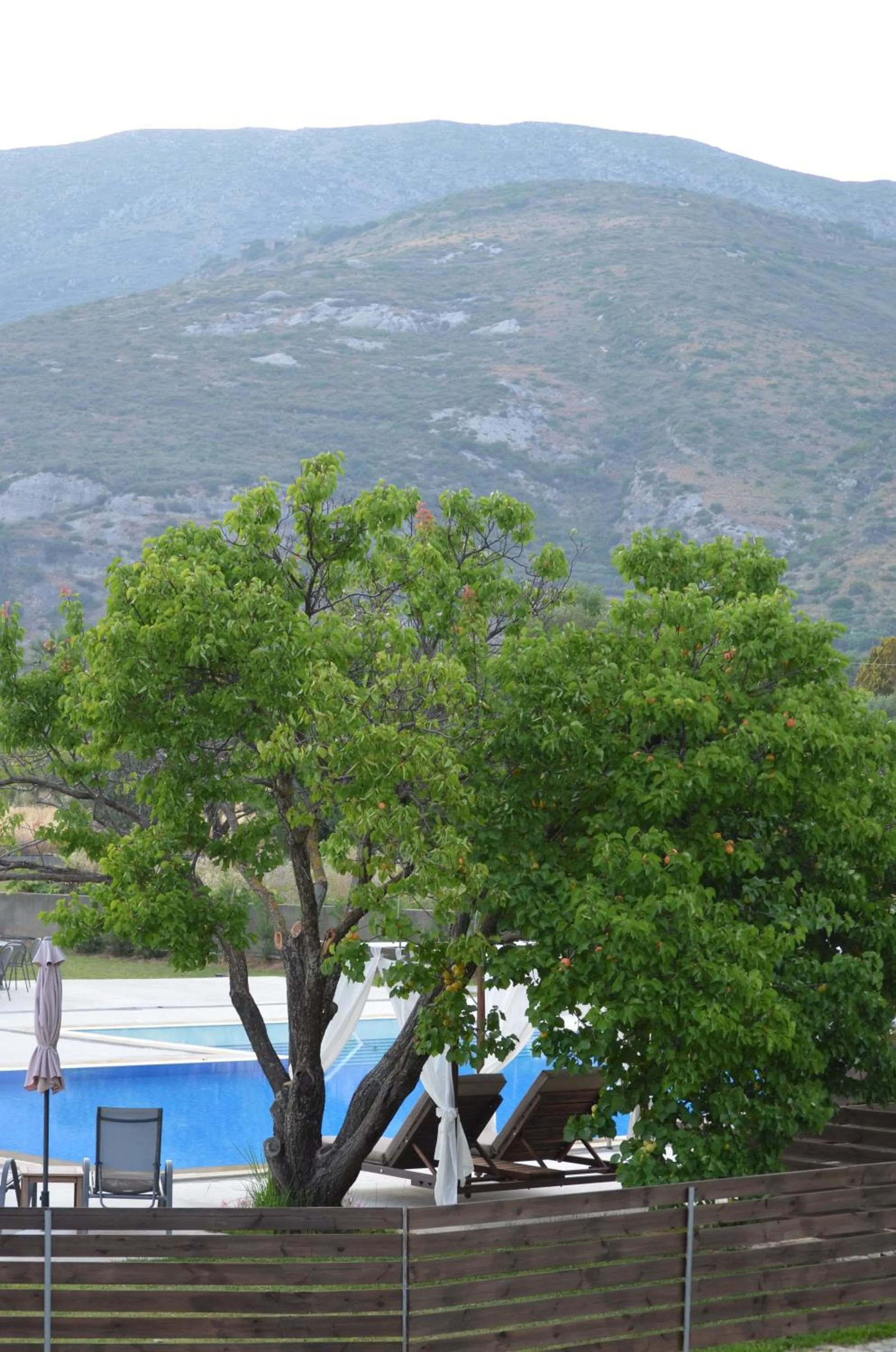 On site in Aligis Studios