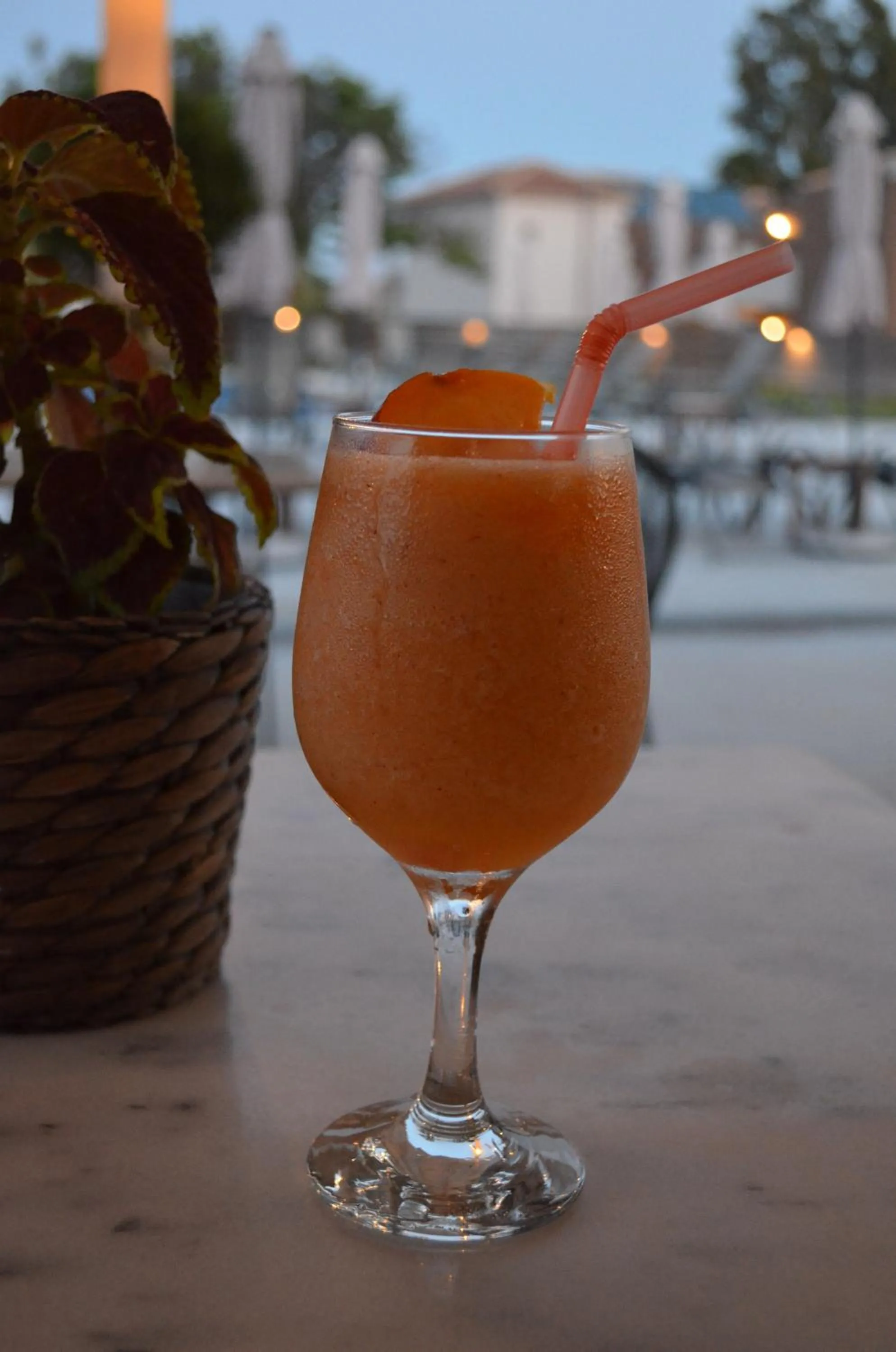 Swimming pool in Aligis Studios