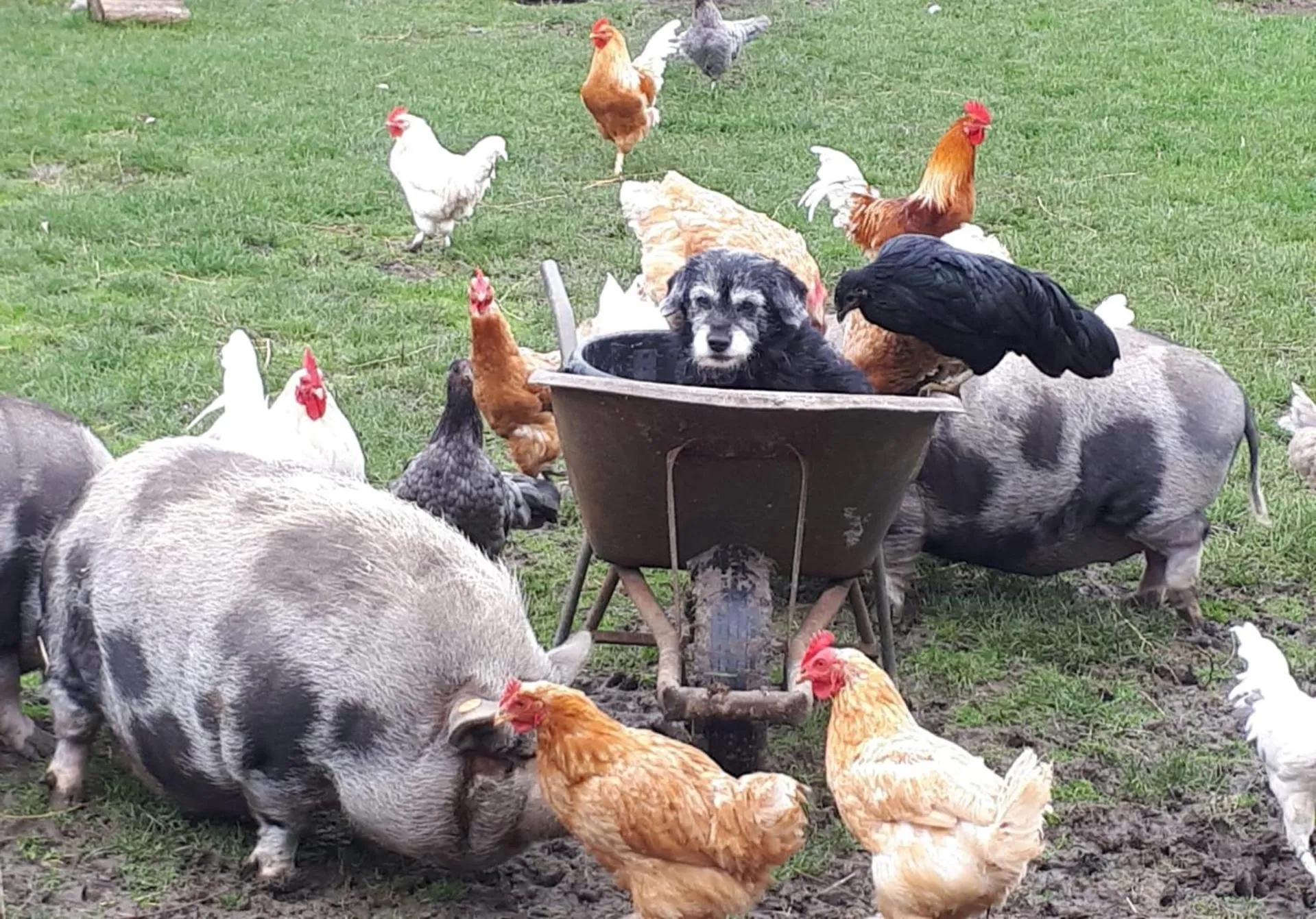 Property building in B&B 't Hannonshof