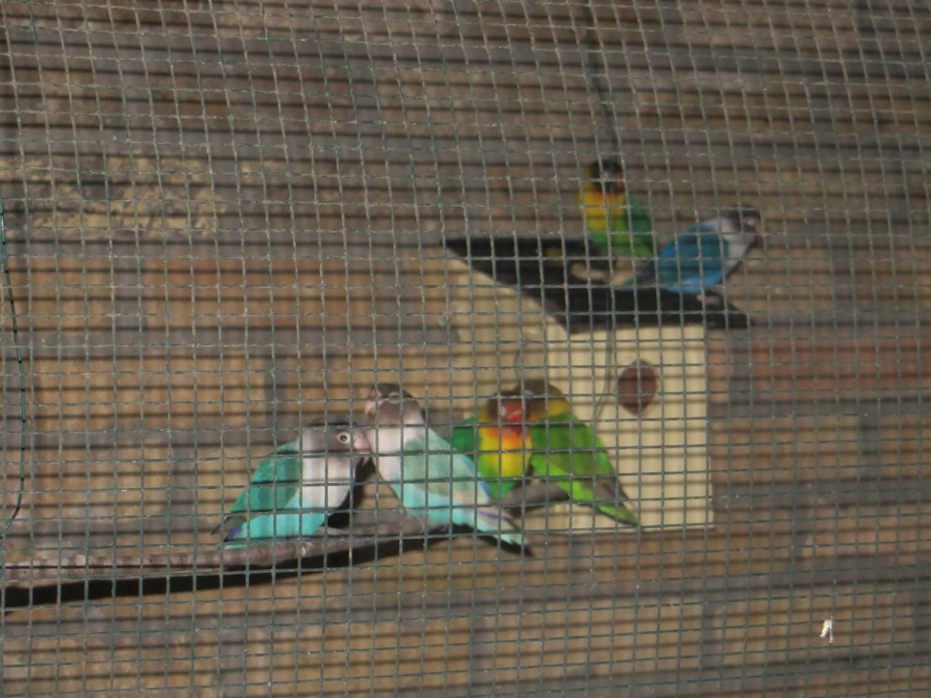 Pets in B&B 't Hannonshof