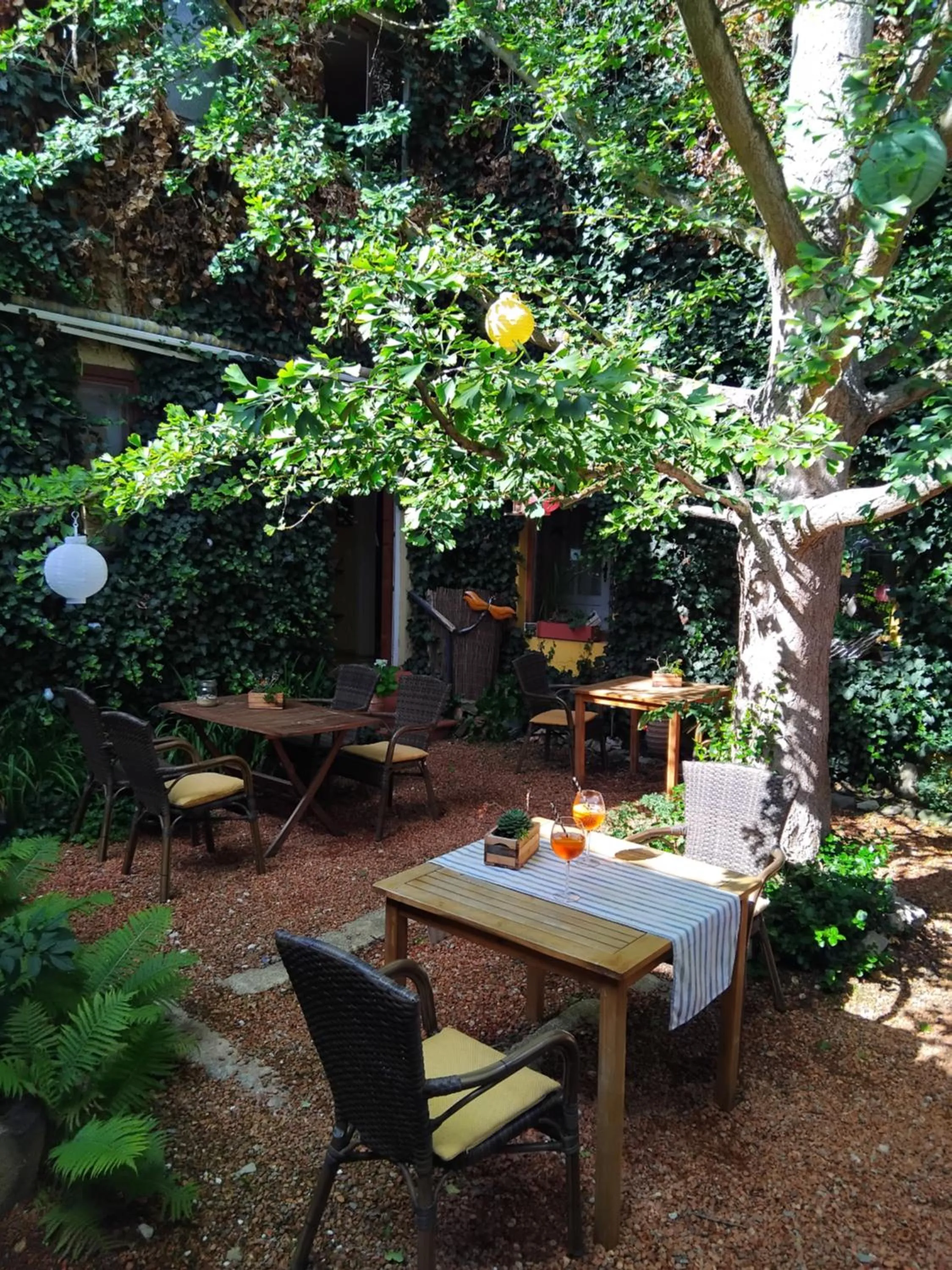 Patio in Zum Ginkgobaum