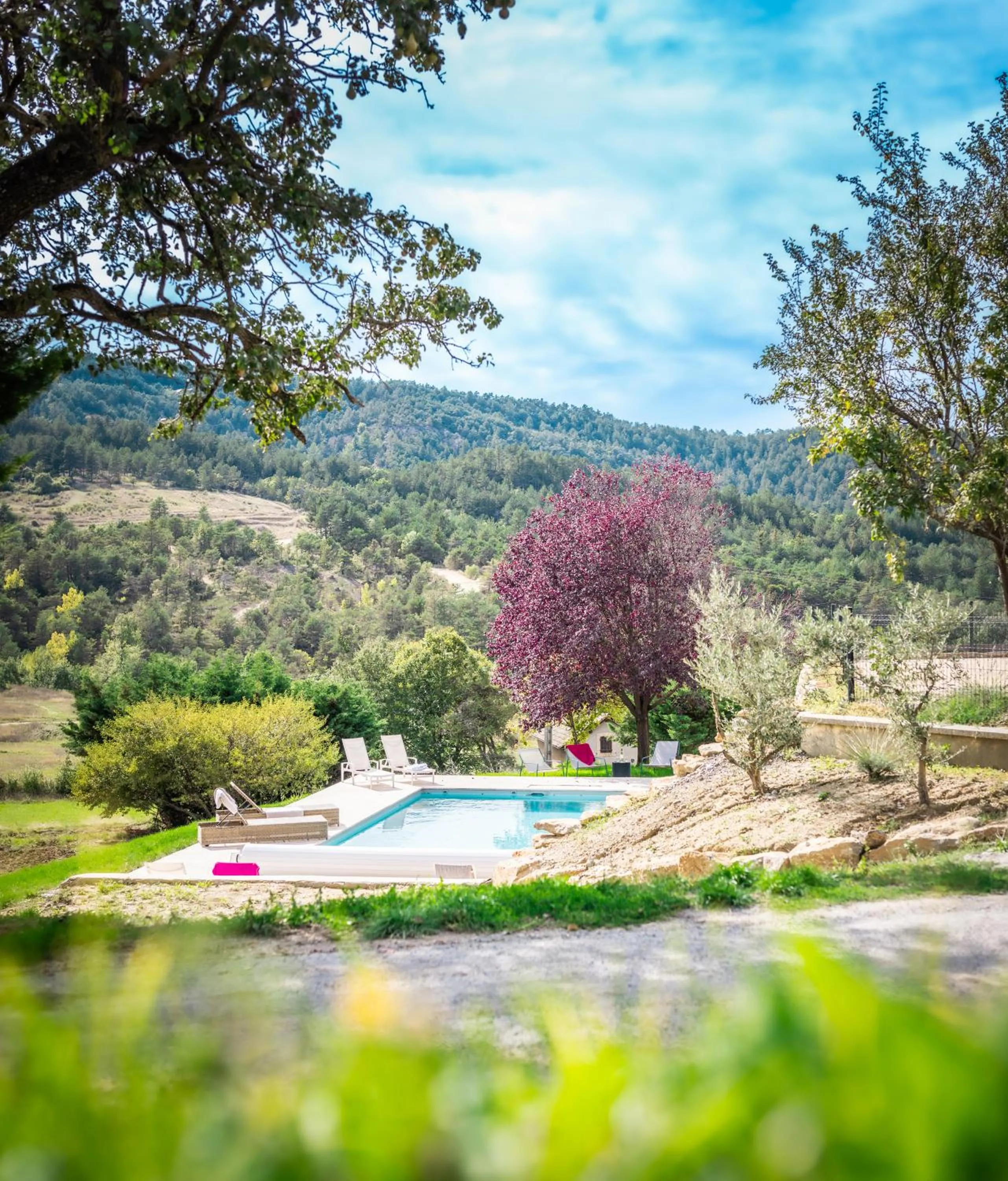 Swimming pool in Domaine de Prefaissal