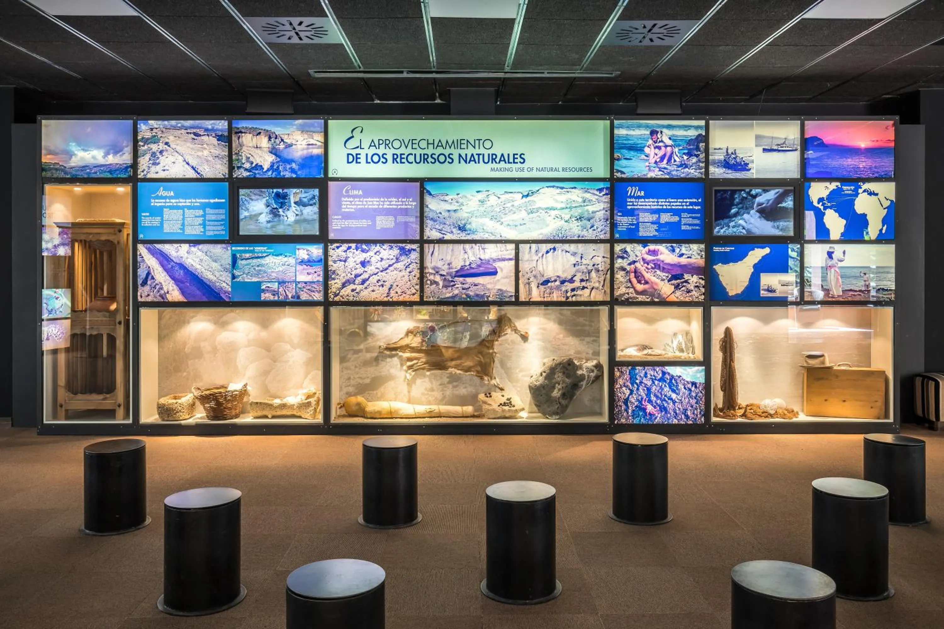 Entertainment in Barceló Tenerife