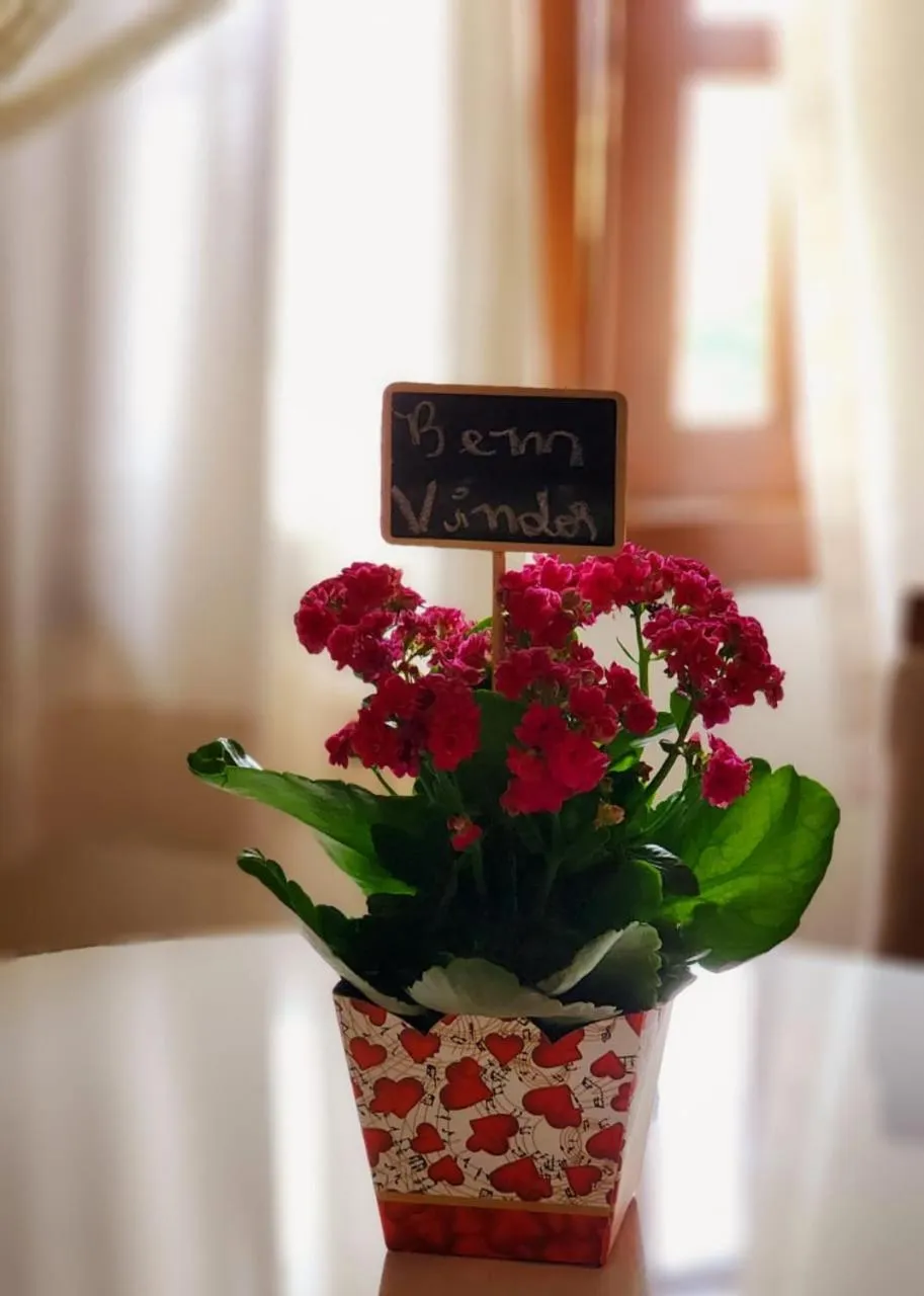 Pousada Colina das Andorinhas