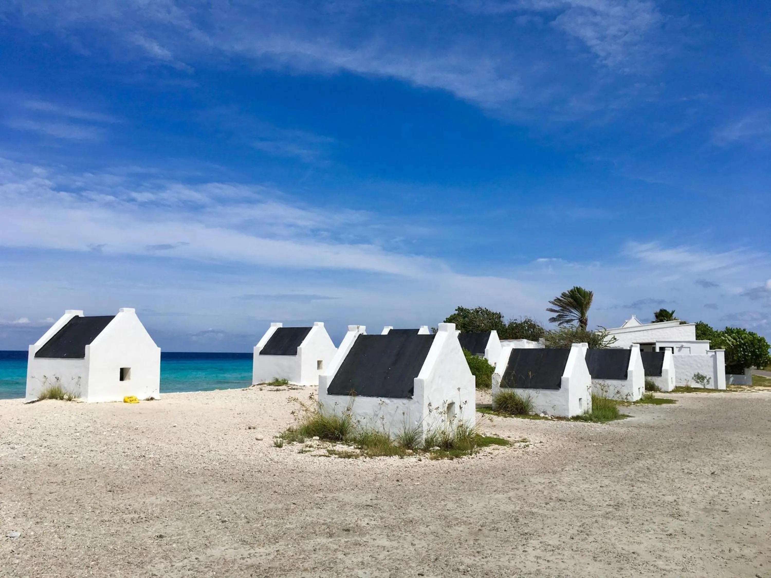Beach in Delfins Beach Resort Bonaire, Tapestry Collection by Hilton