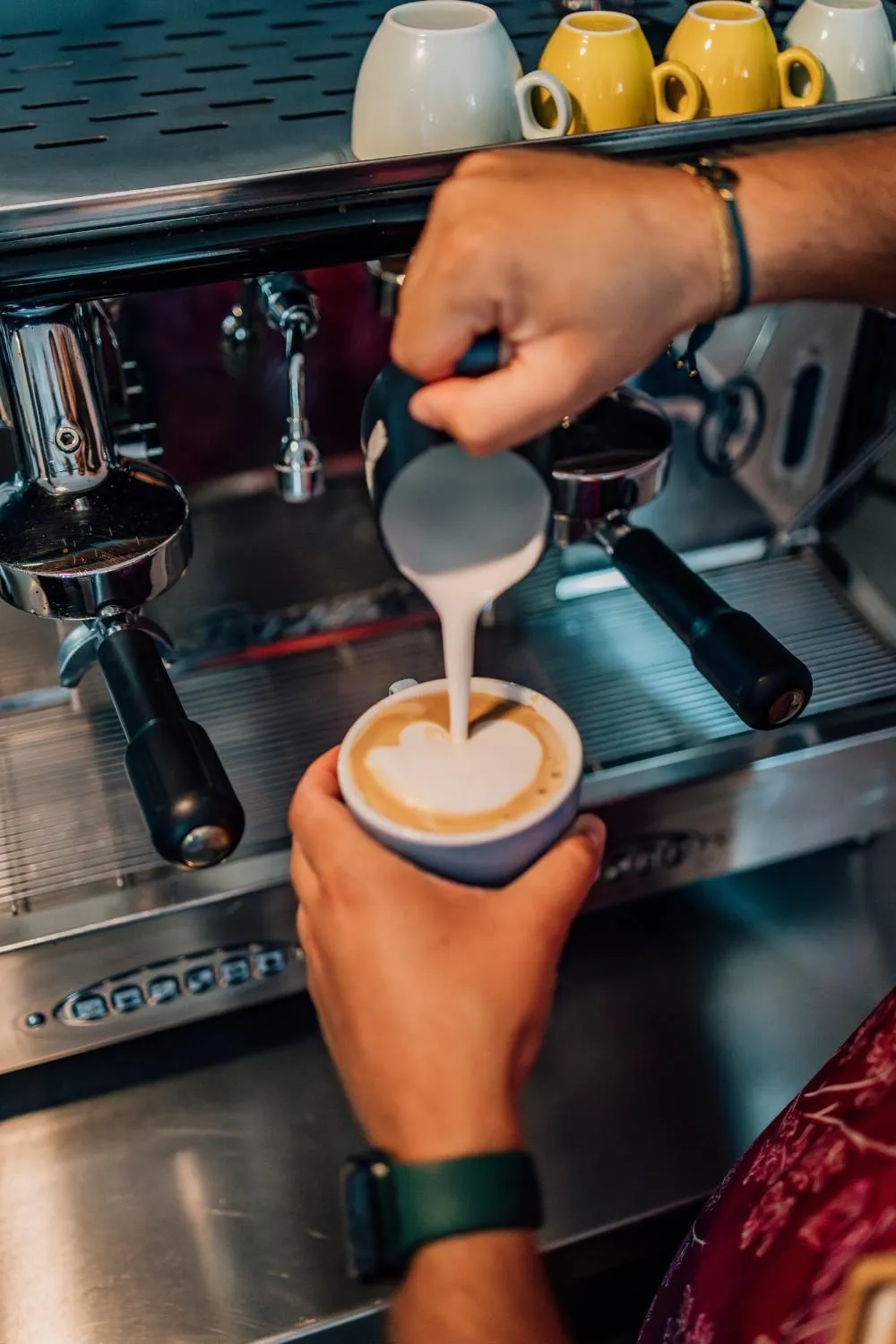 Restaurant/places to eat in Delfins Beach Resort Bonaire, Tapestry Collection by Hilton