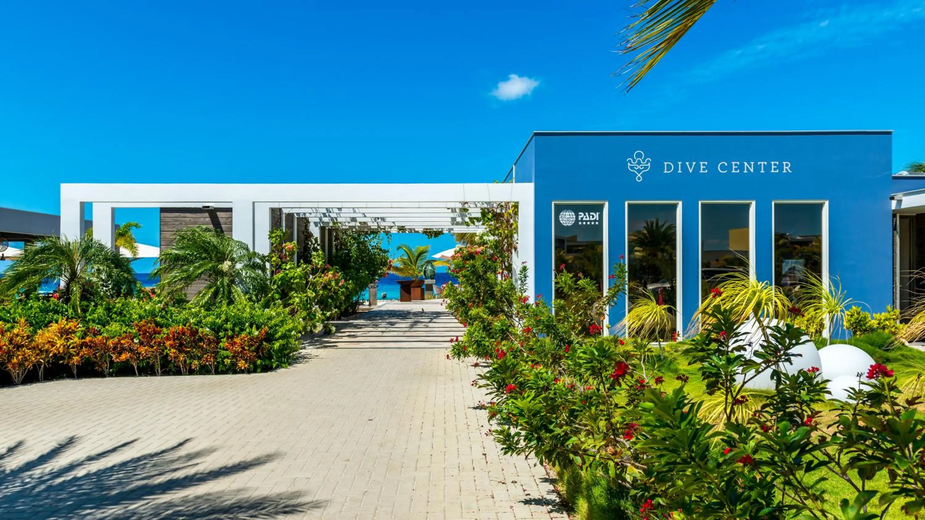 Diving in Delfins Beach Resort Bonaire, Tapestry Collection by Hilton