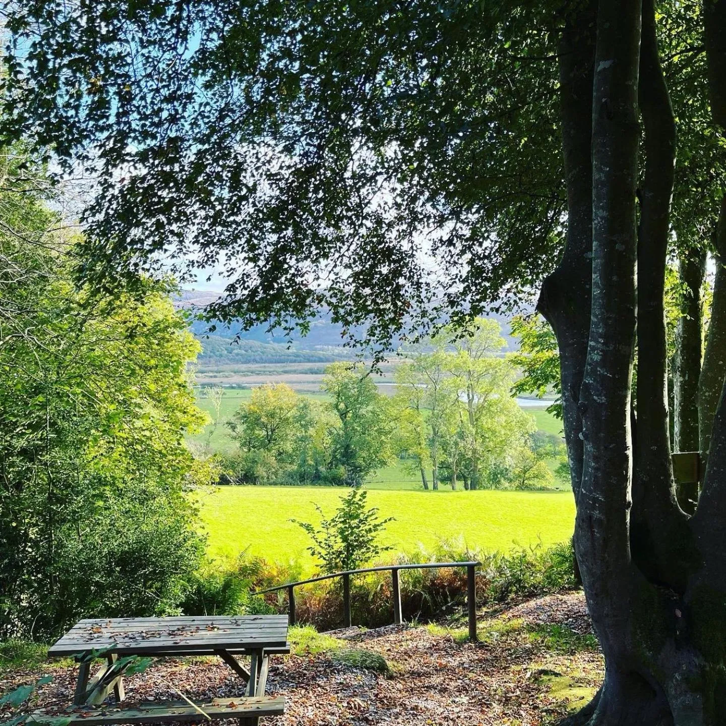 Llety Brynawel Guest House