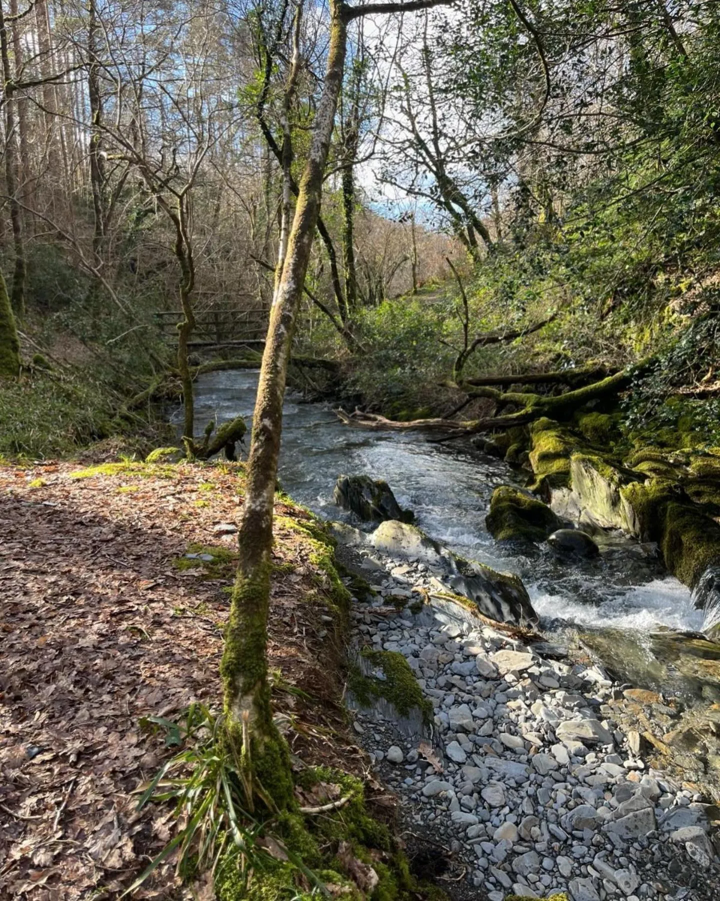 Llety Brynawel Guest House