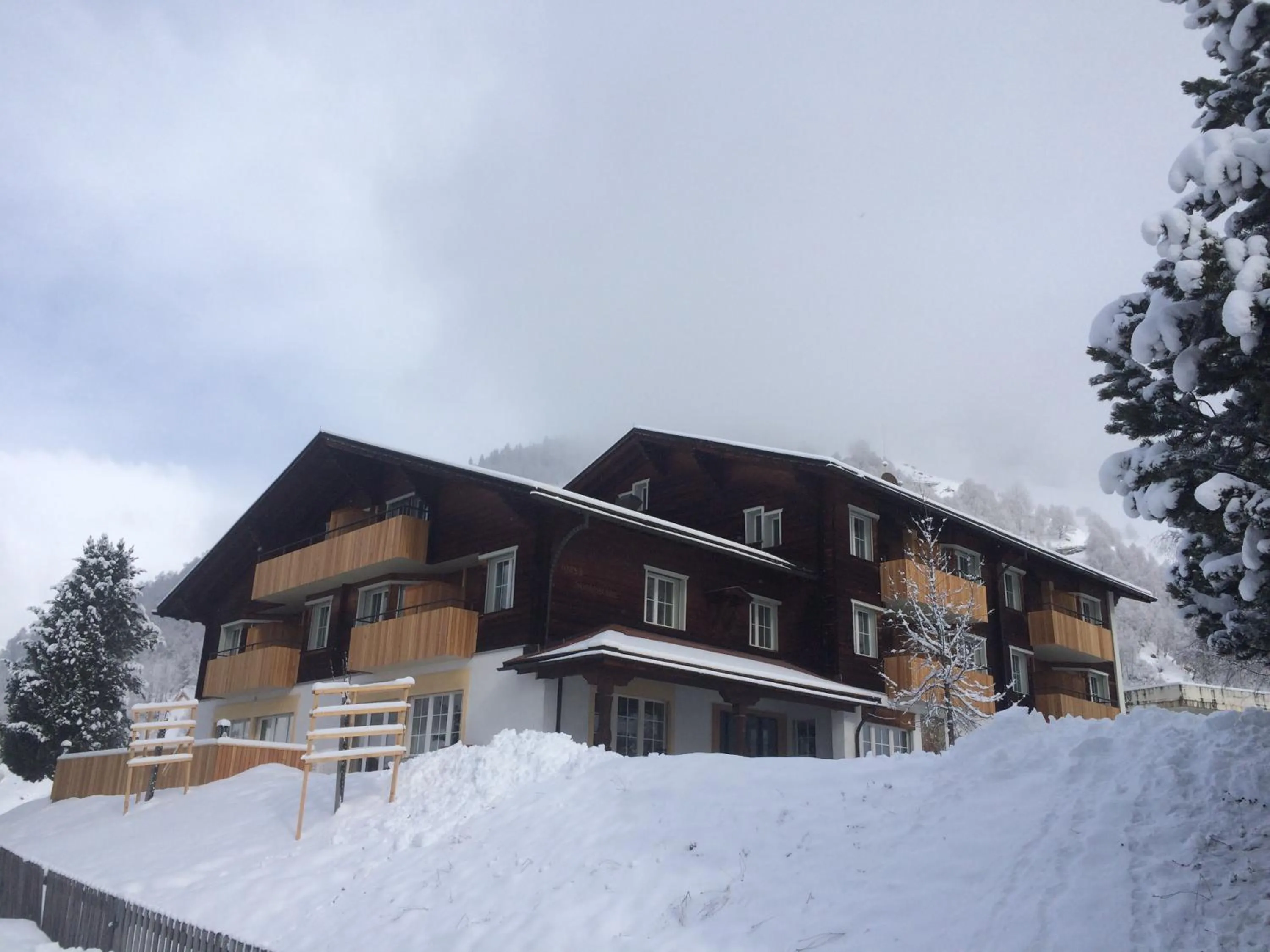 Facade/entrance in medelina