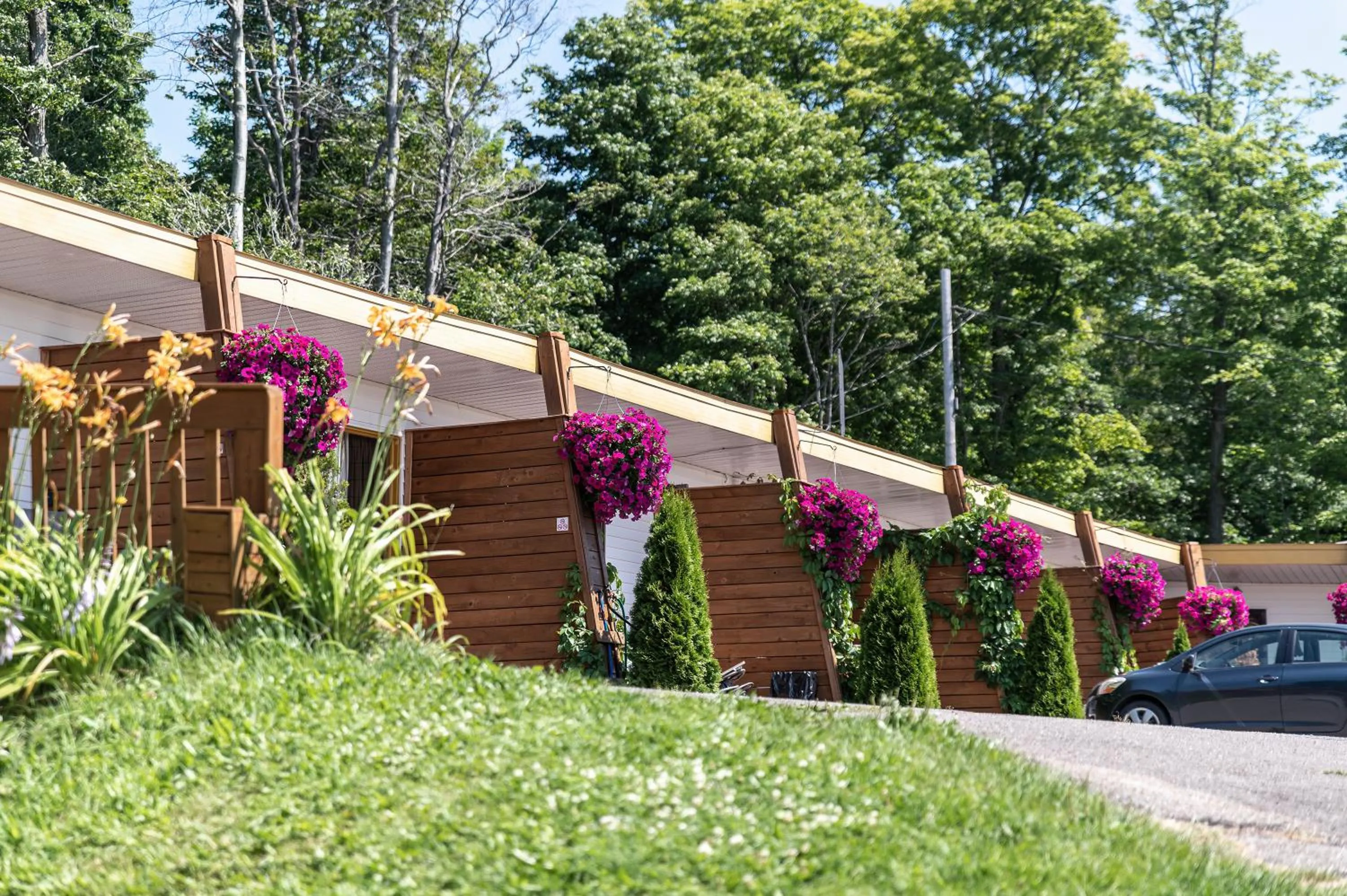 Property building in Motel Ile d'Orleans