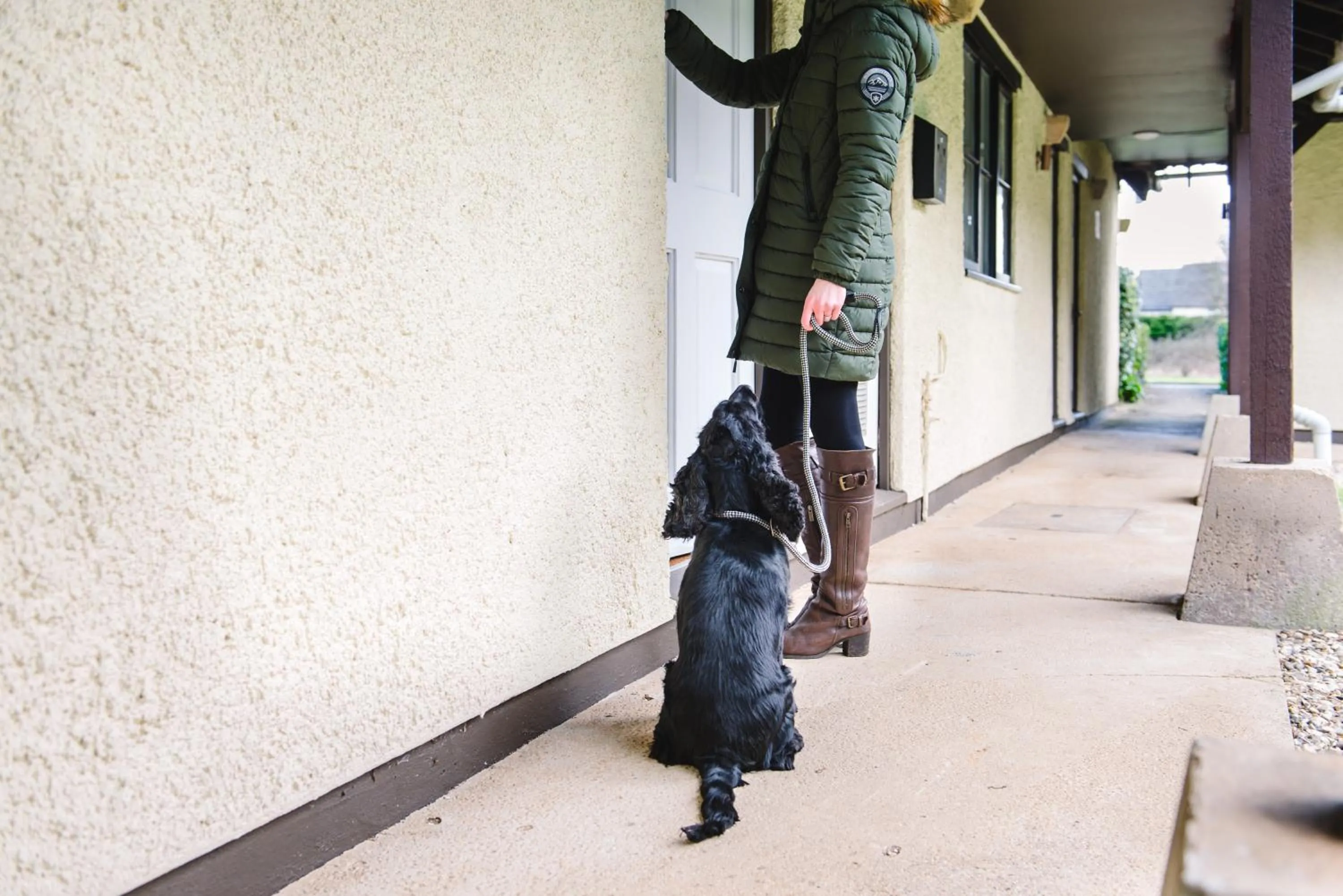 Pets in Cricklade House Hotel, Sure Hotel Collection by Best Western