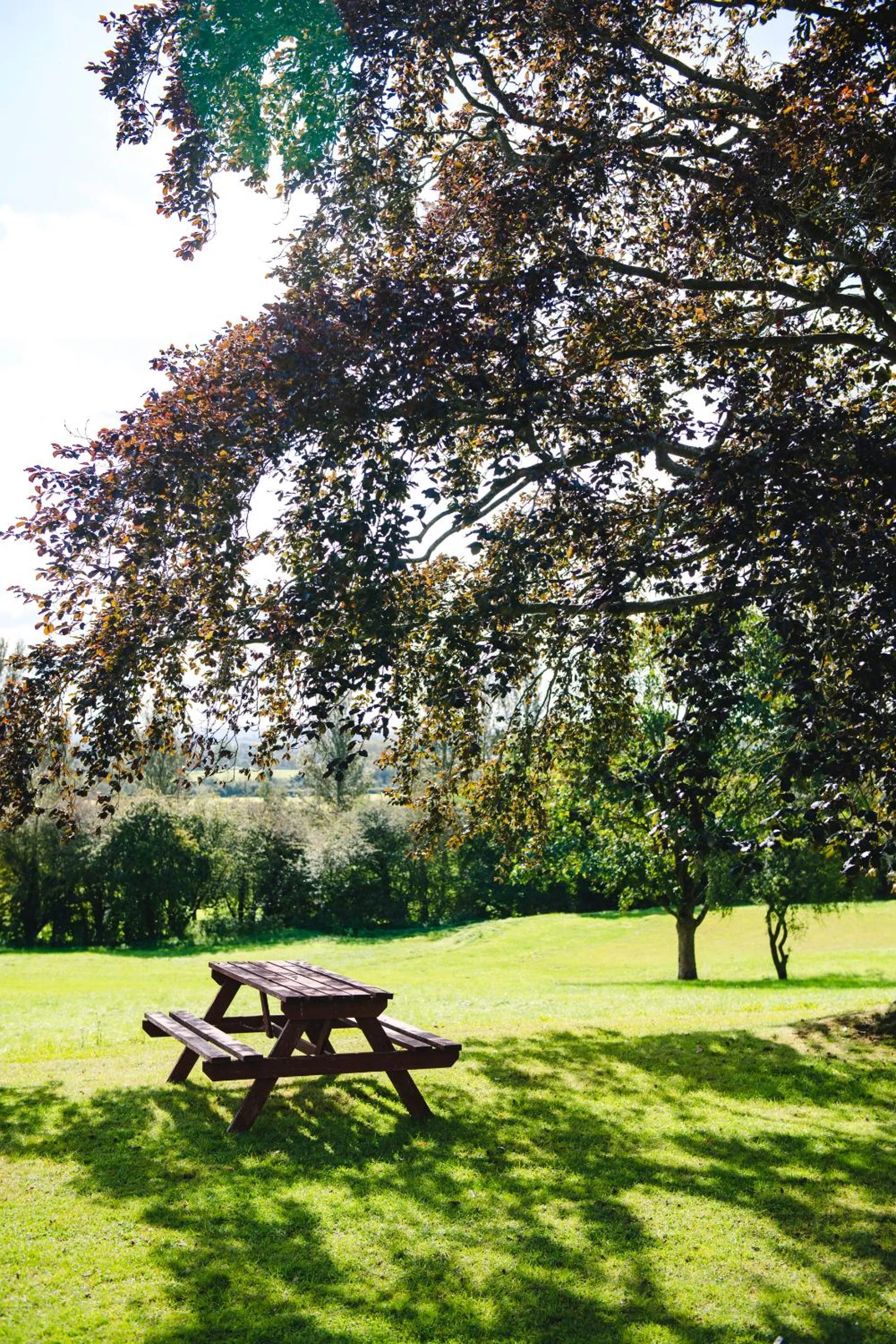 Garden in Cricklade House Hotel, Sure Hotel Collection by Best Western