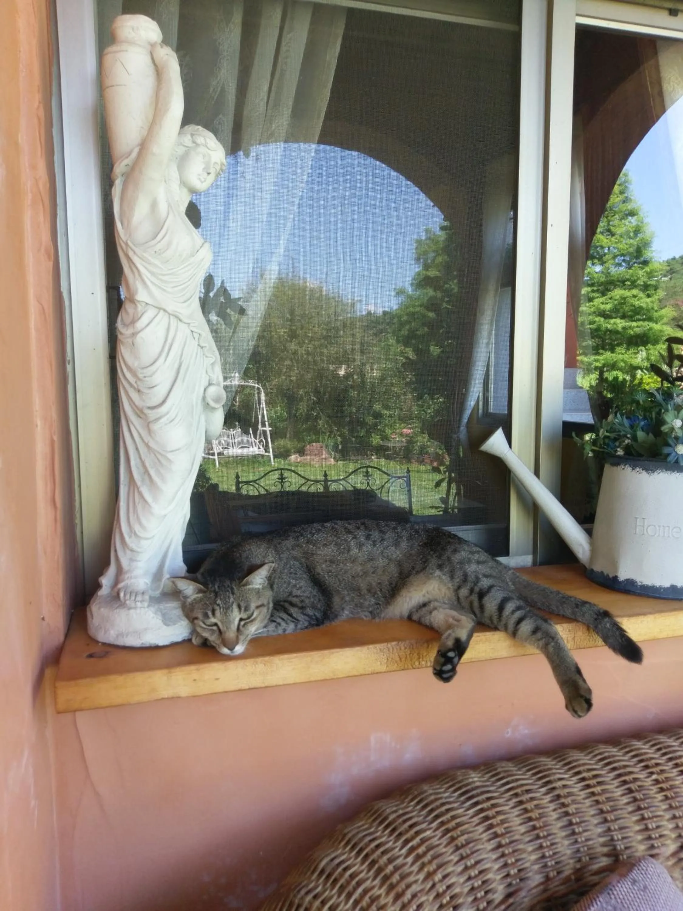 Pets in Bramasole B&B