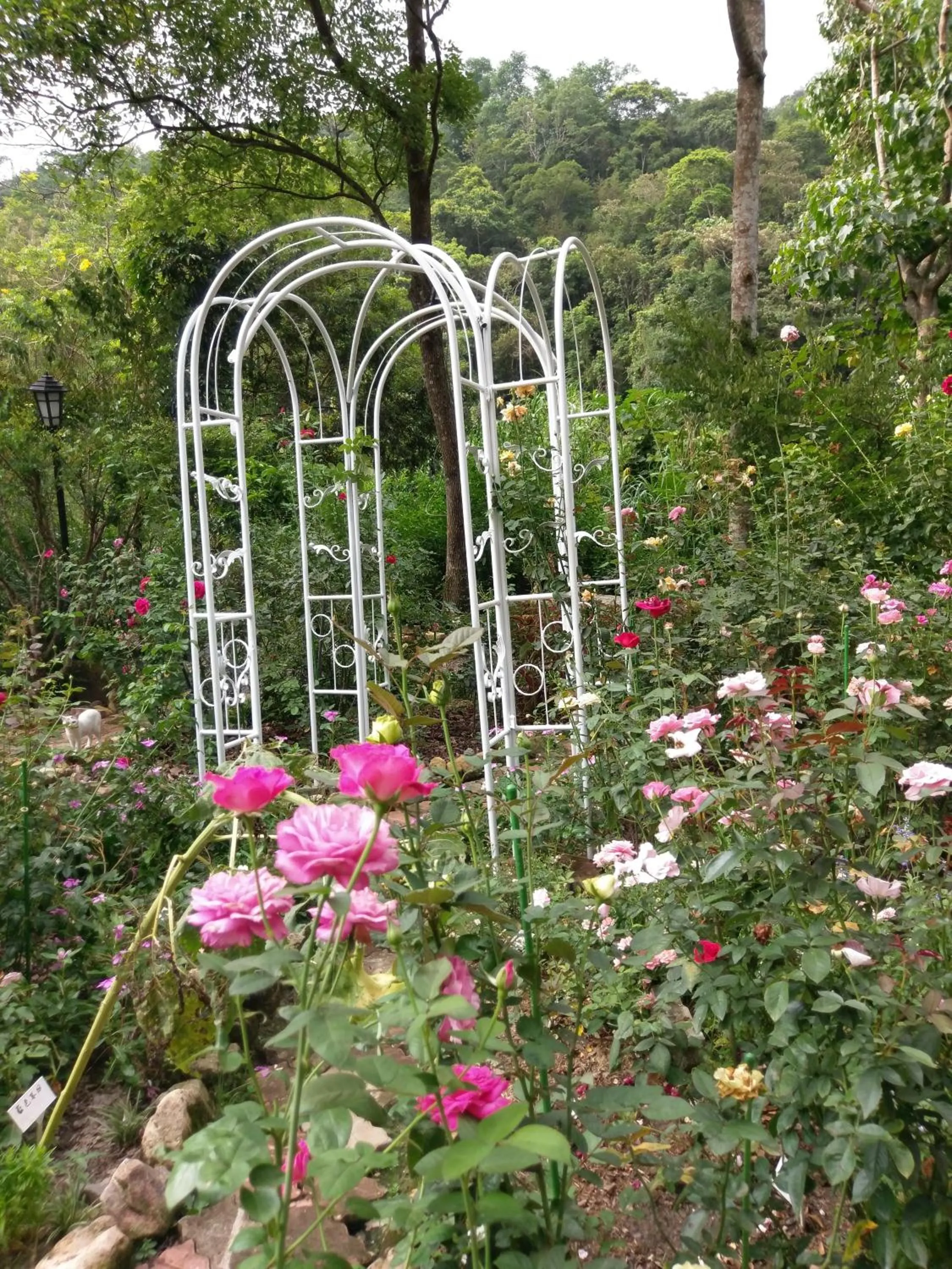 Garden in Bramasole B&B