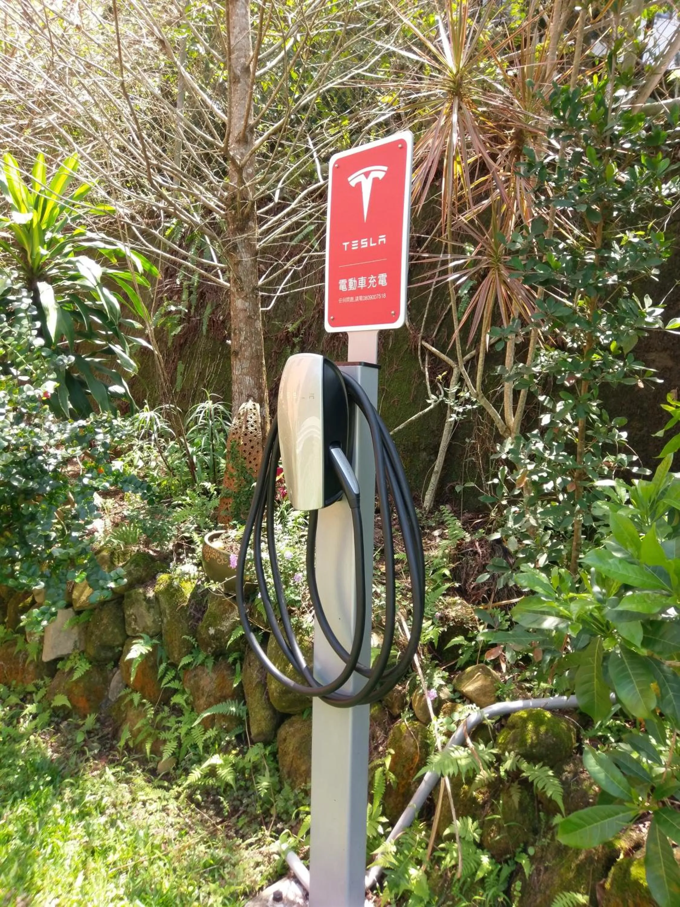 Area and facilities in Bramasole B&B