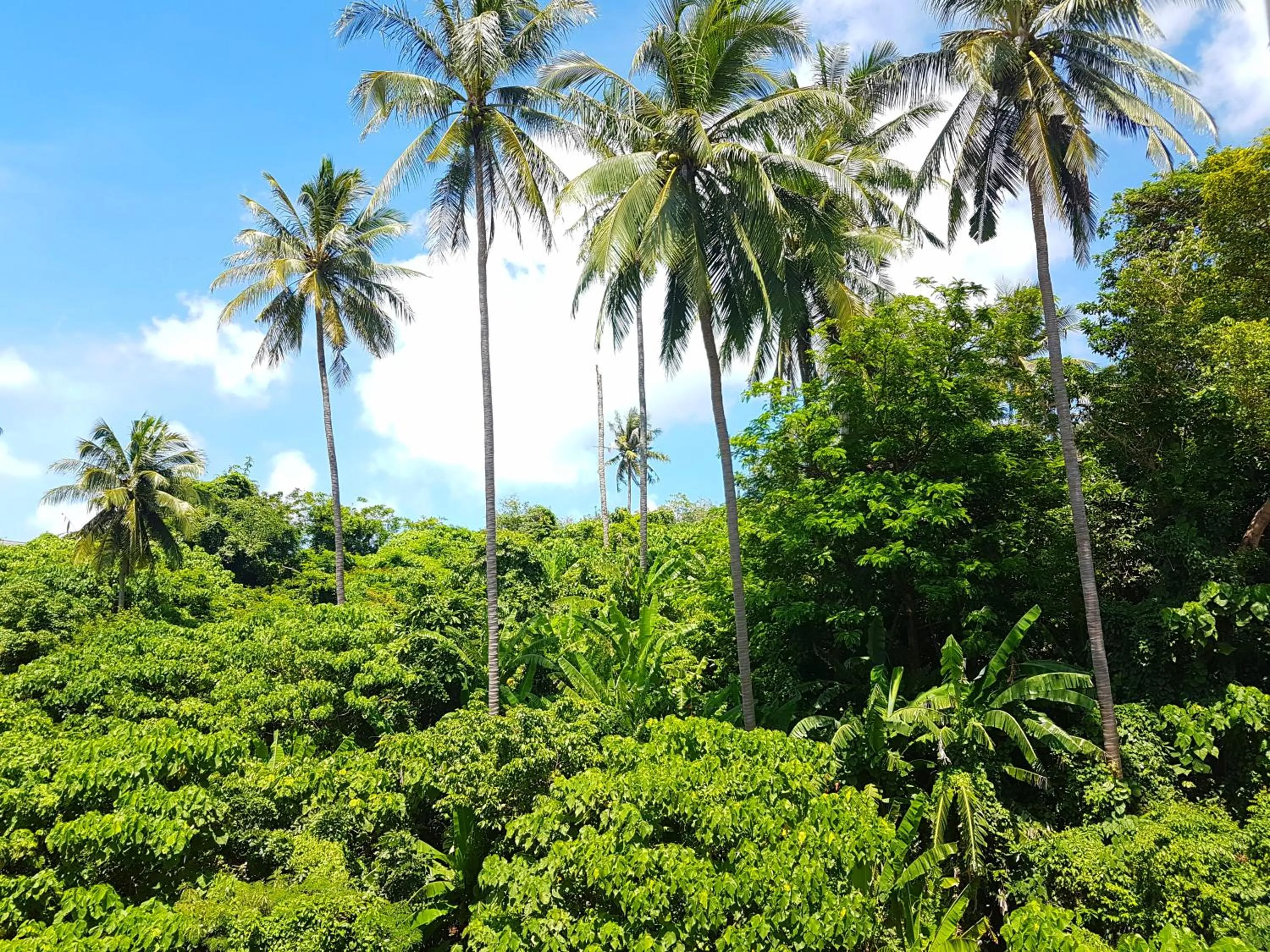 Sea & Sky Karon Beach by PHR