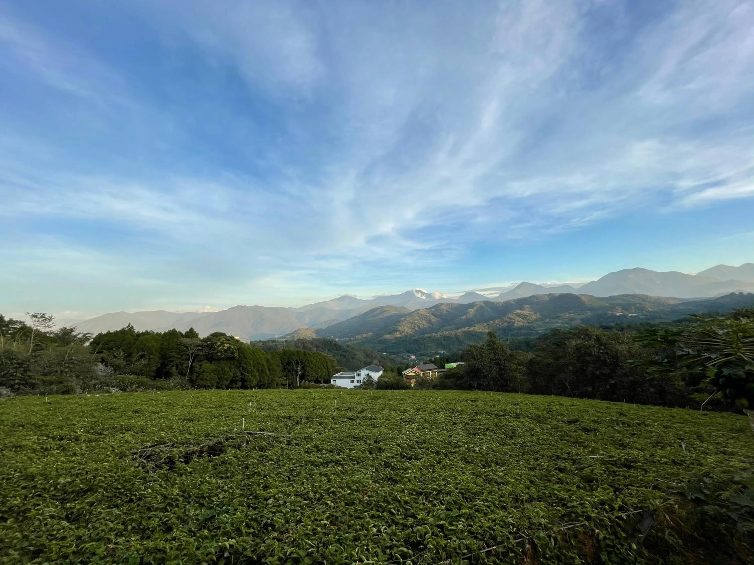 Property building in View on View B&B