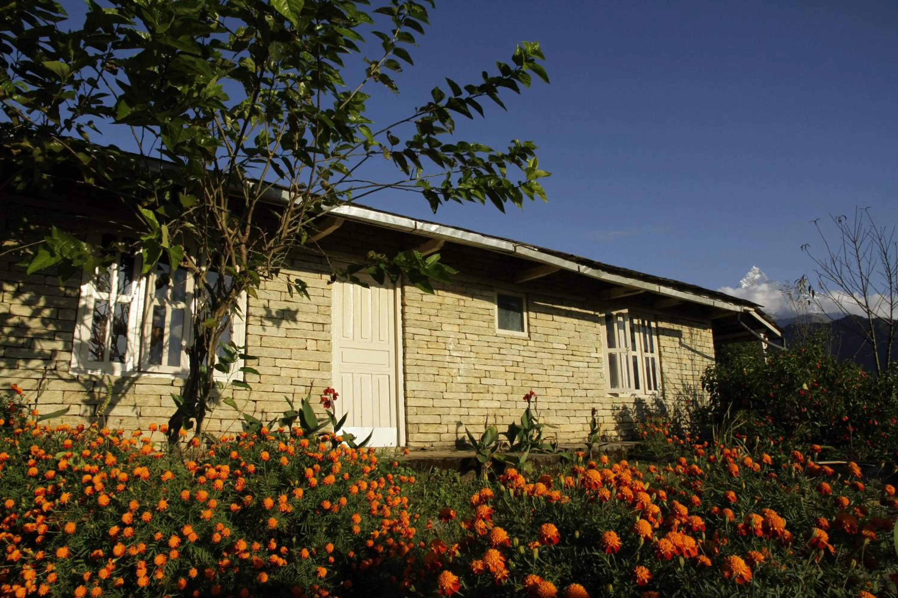 Property building in Annapurna Eco Village