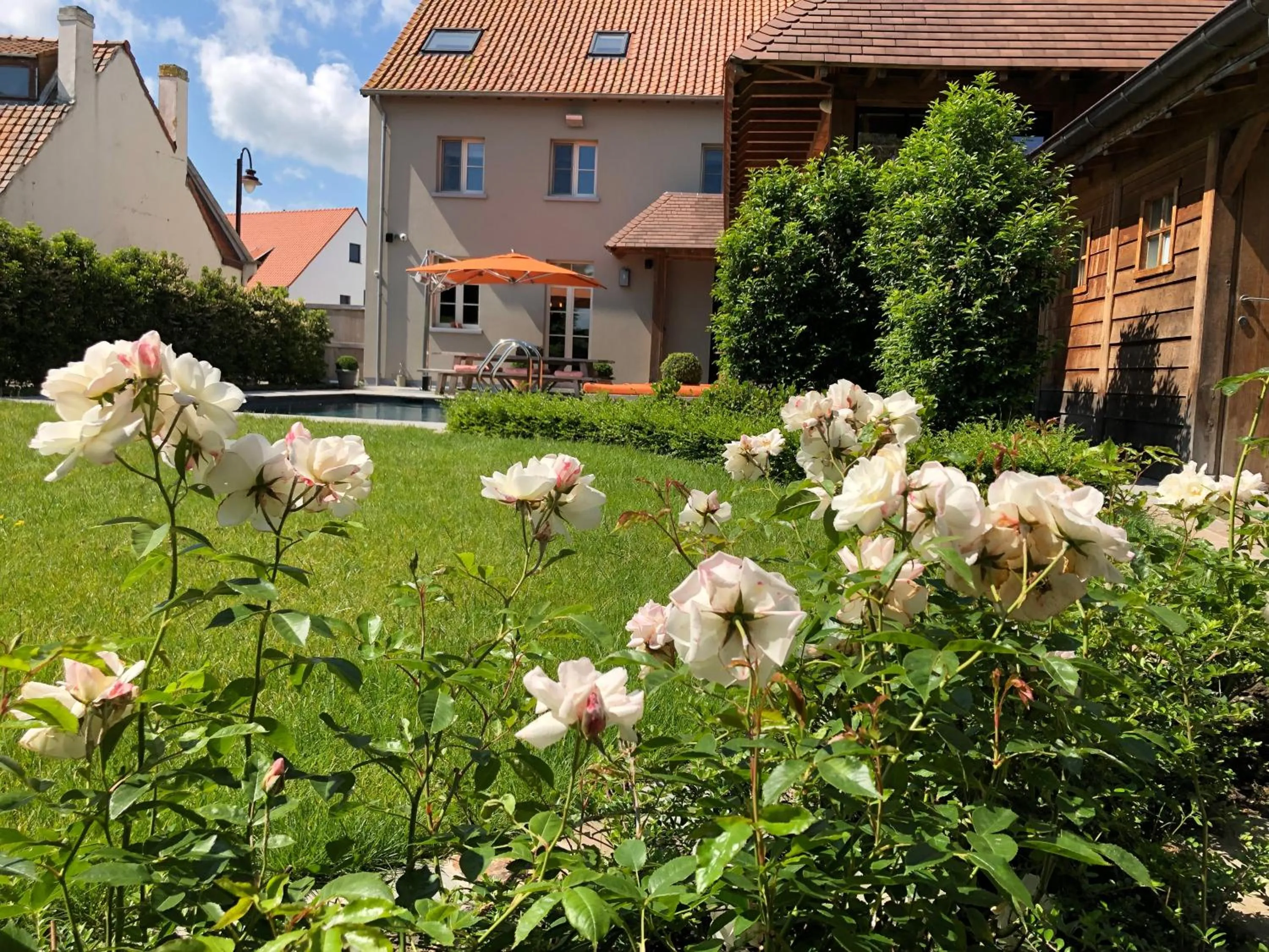 Garden view in B&B d'Oude Brouwerij