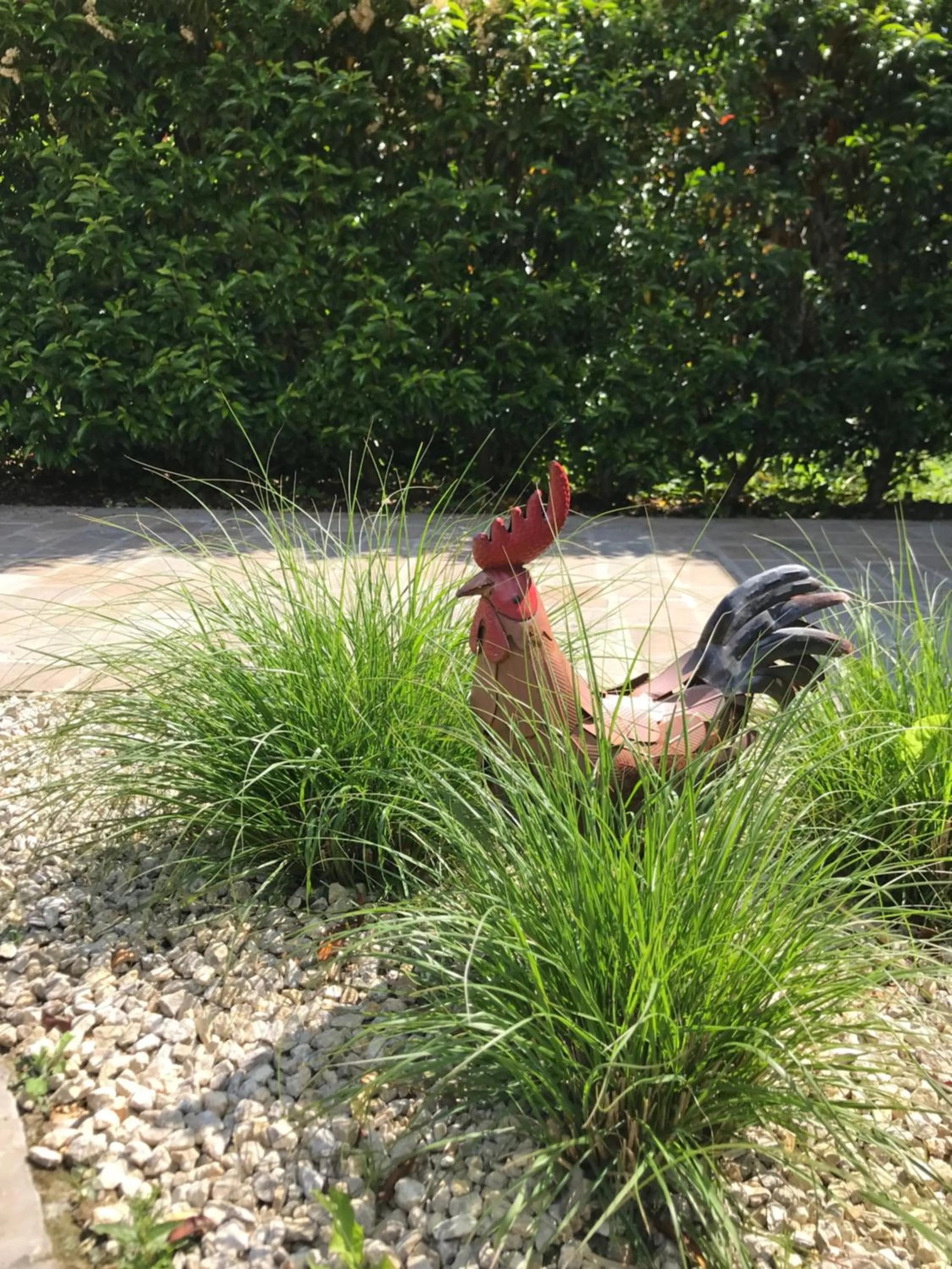 Animals in B&B d'Oude Brouwerij