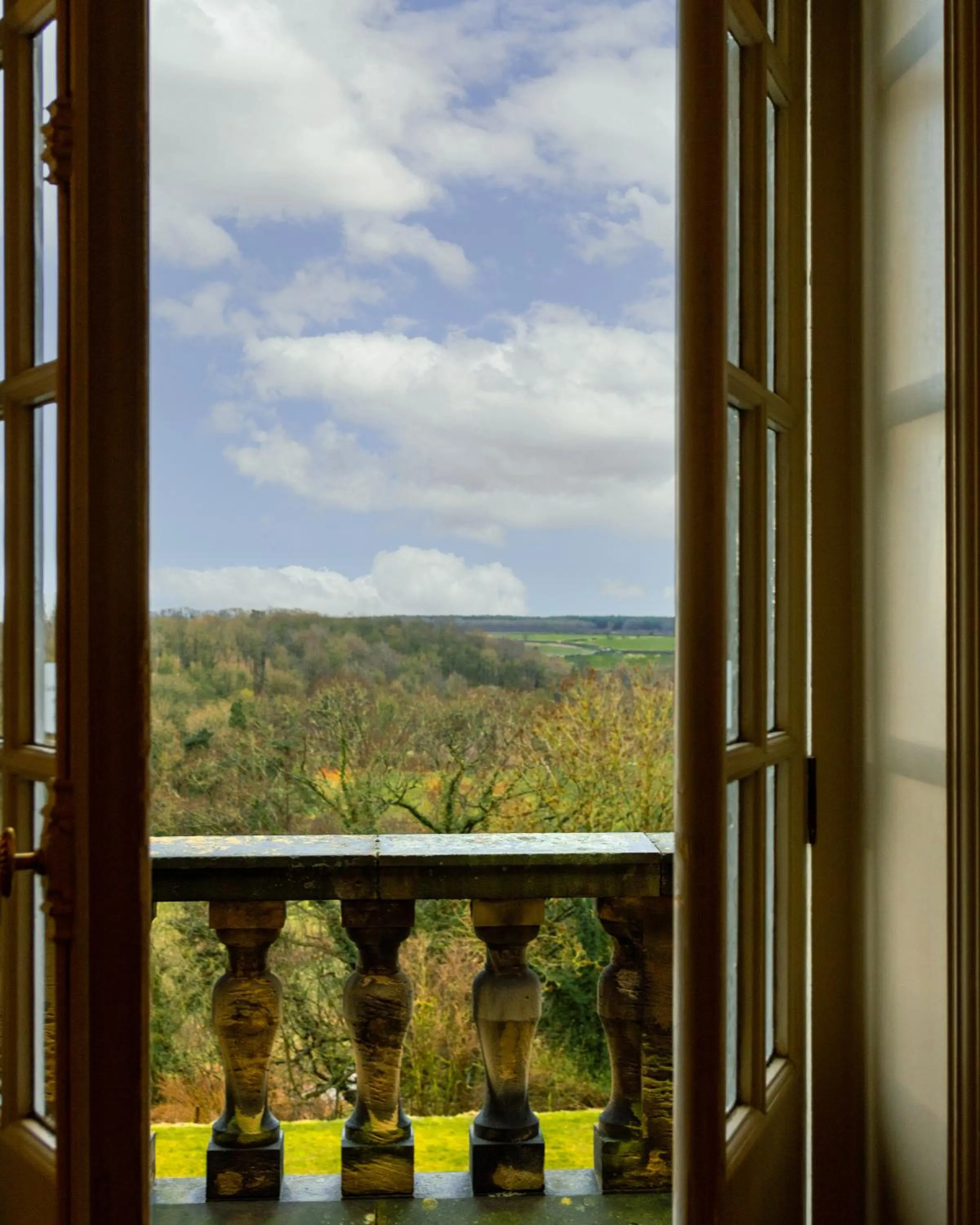 Natural landscape in Crathorne Hall