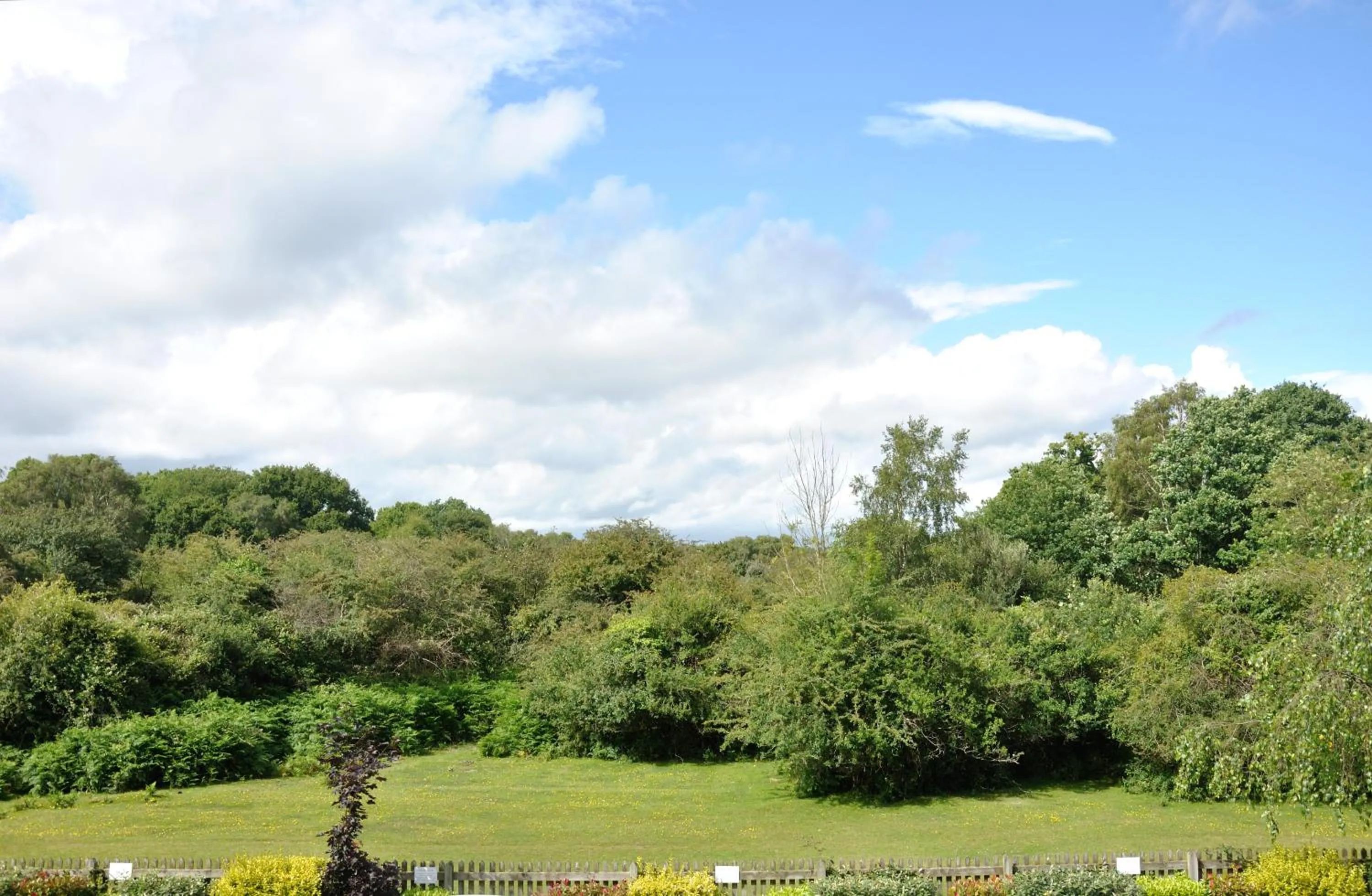 Spring in Balmer Lawn