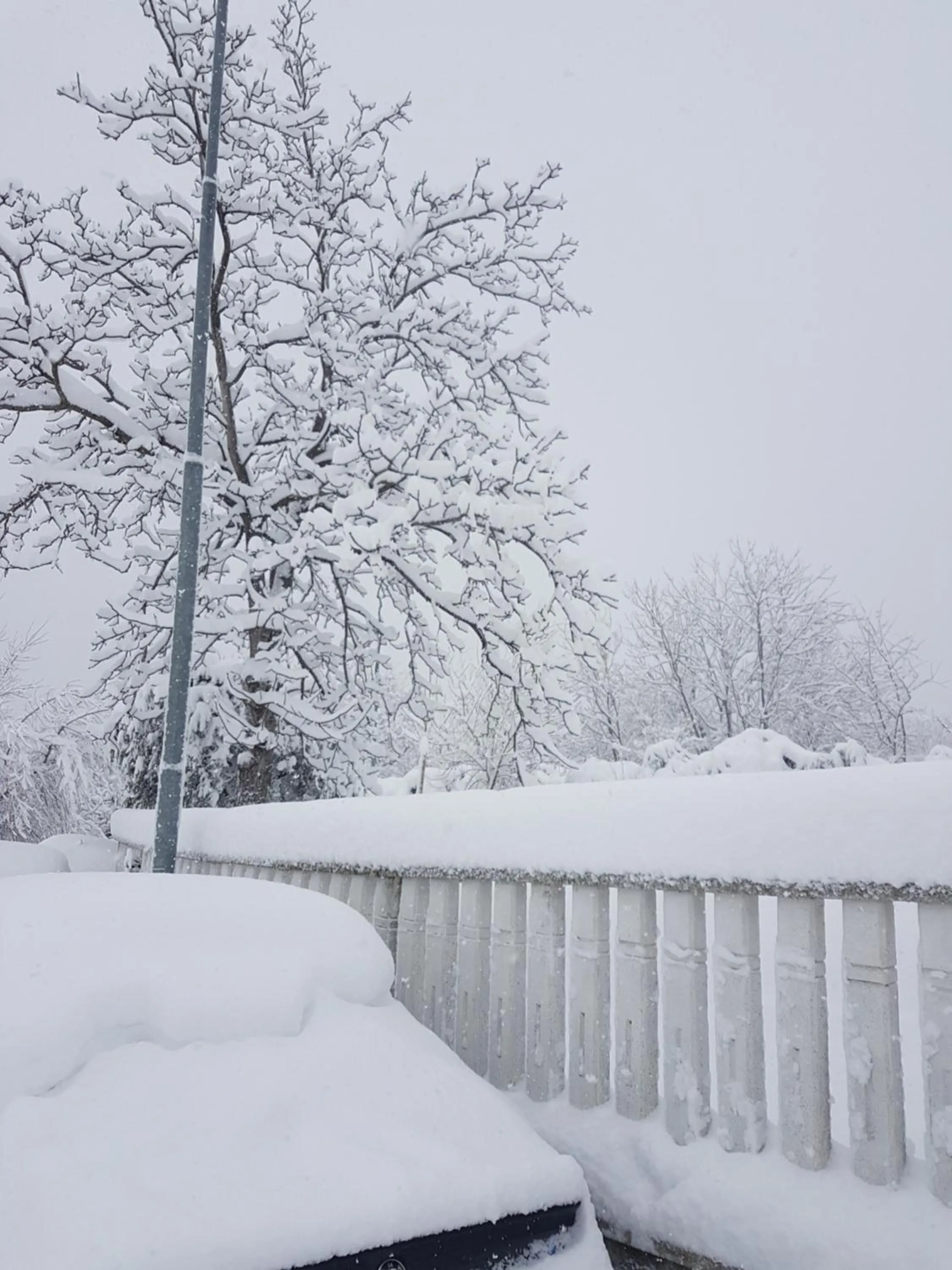 Logo/Certificate/Sign in La Casetta Di Via Fara