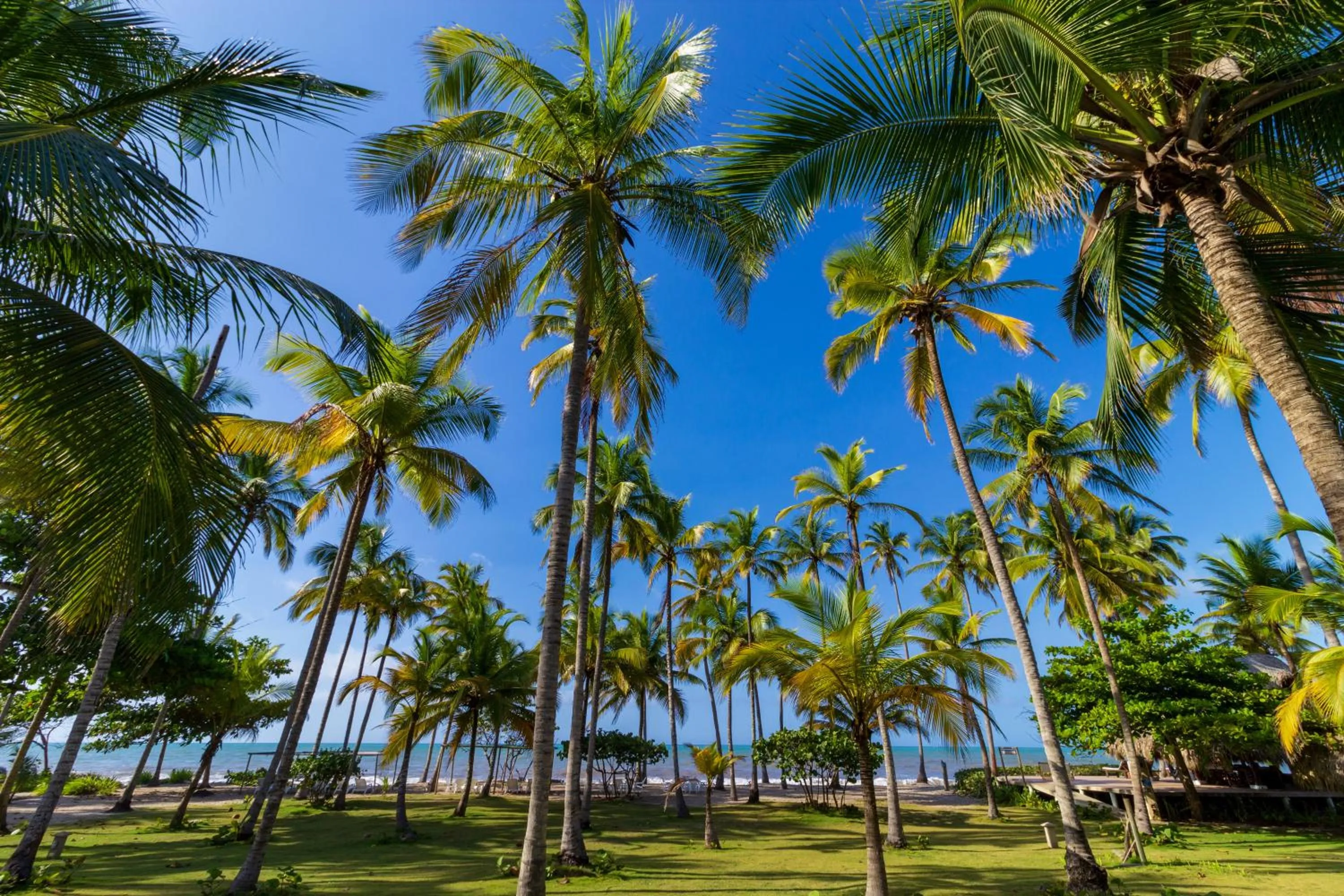 Garden in Hotel Chiniu