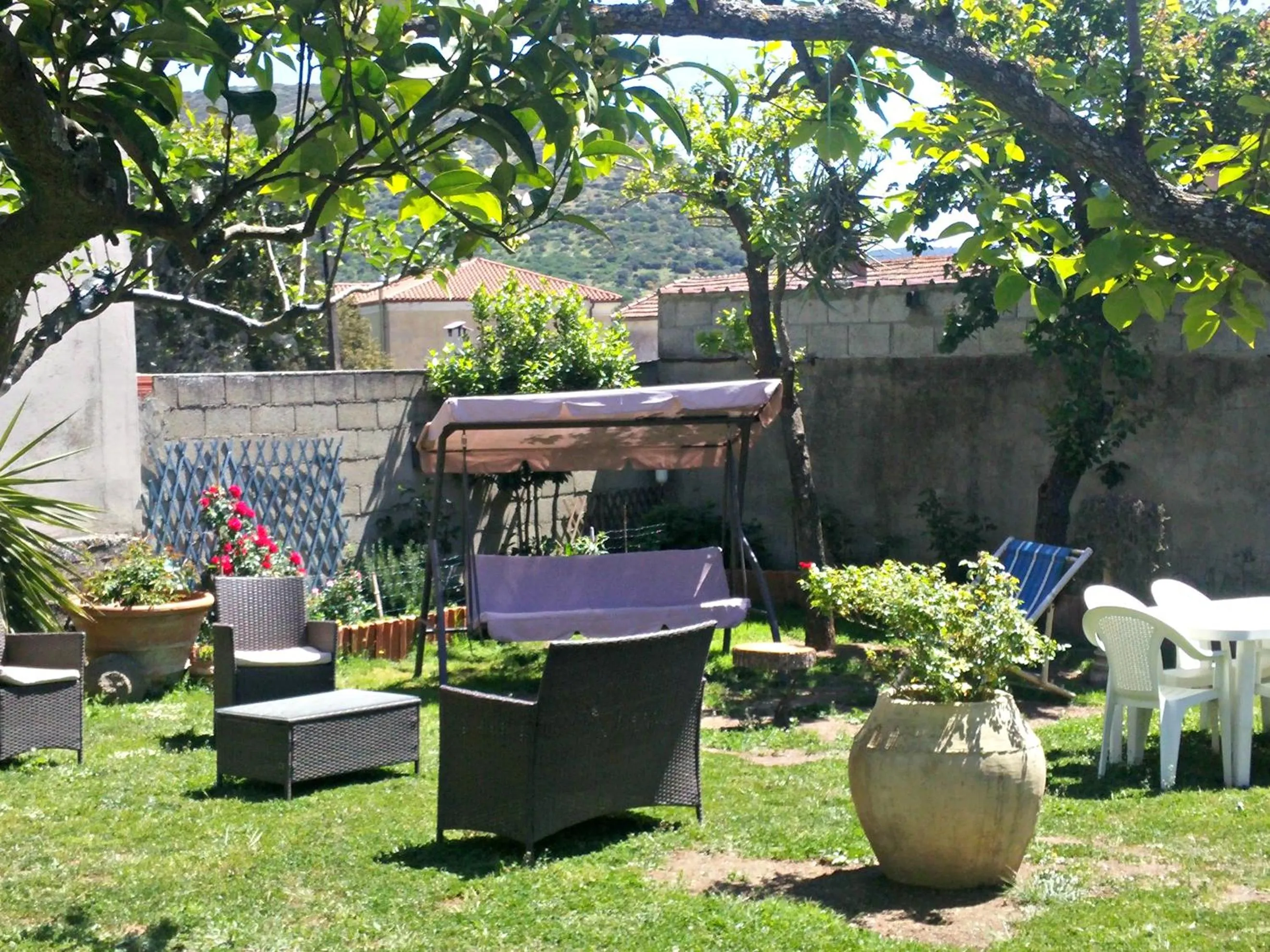 Garden in Zia Chiarina