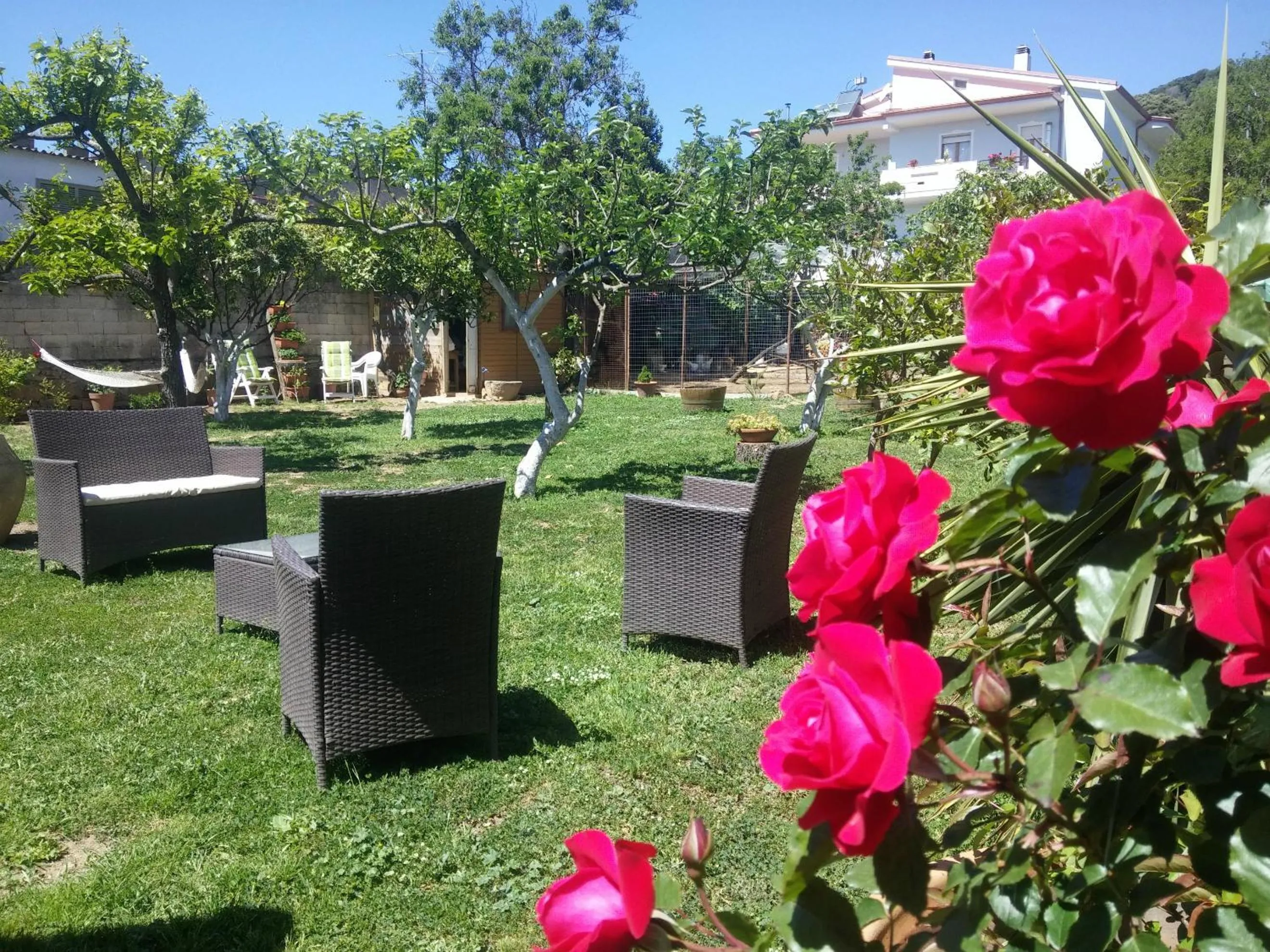 Garden in Zia Chiarina