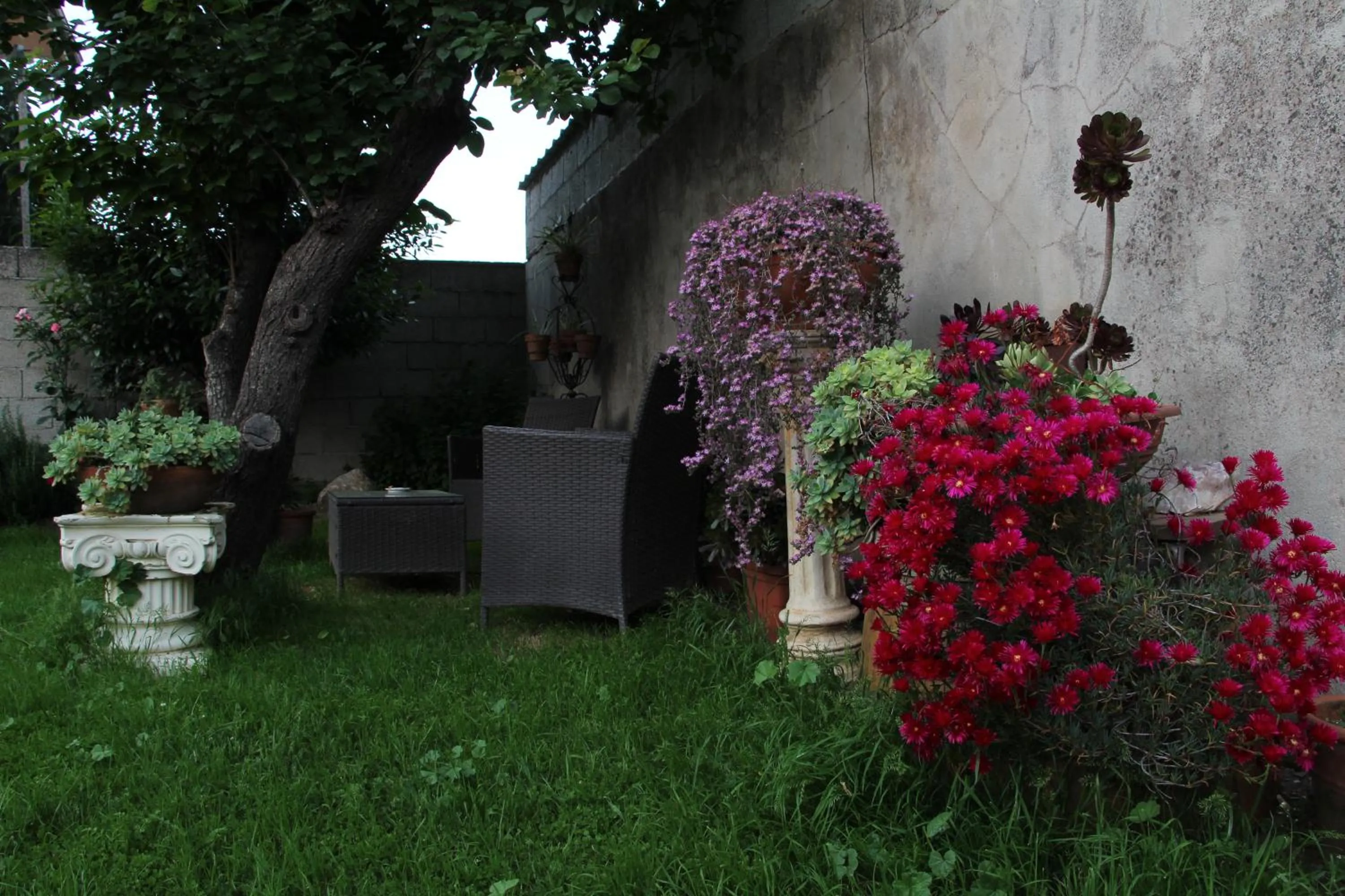 Garden in Zia Chiarina