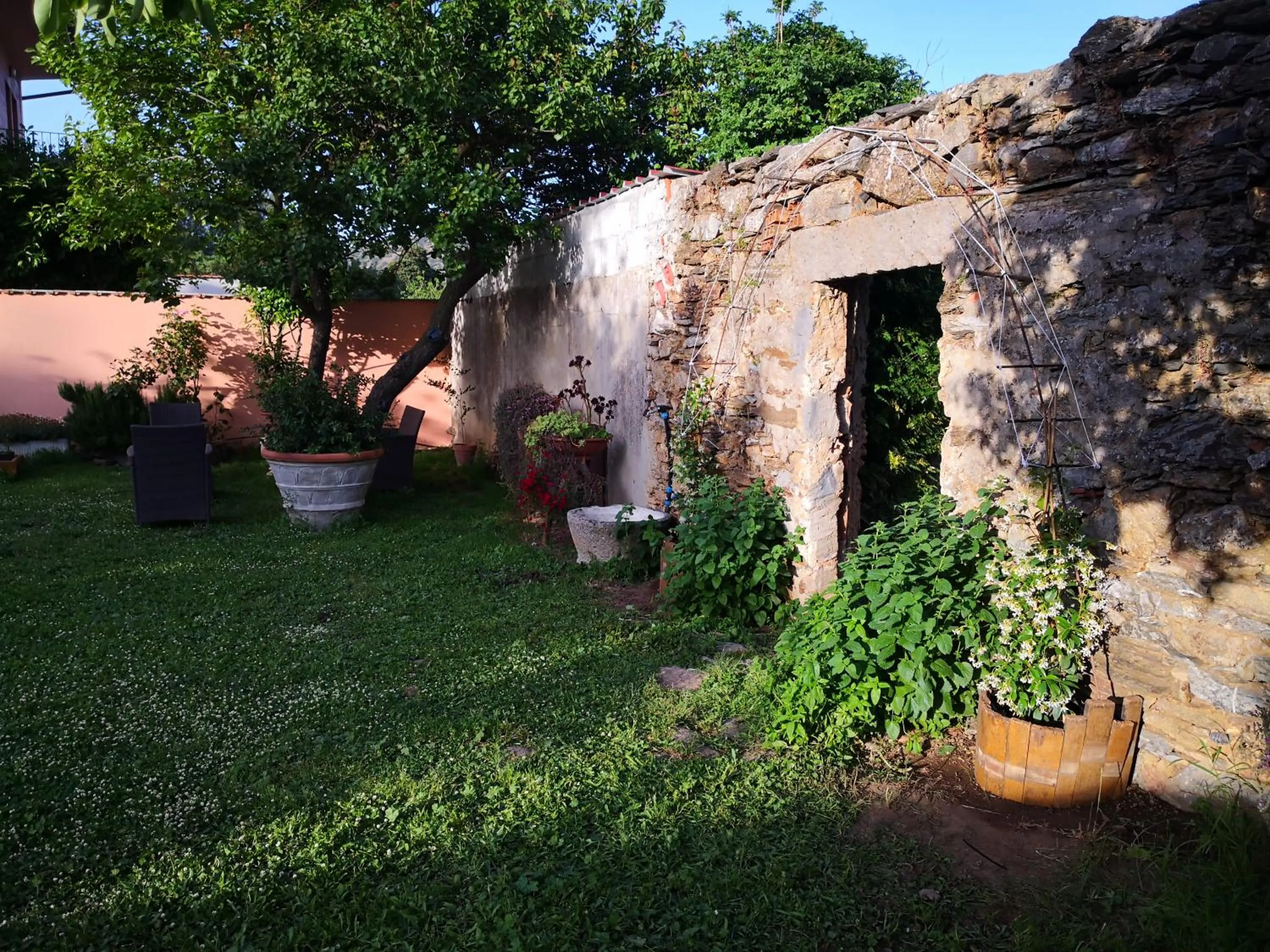 Garden in Zia Chiarina