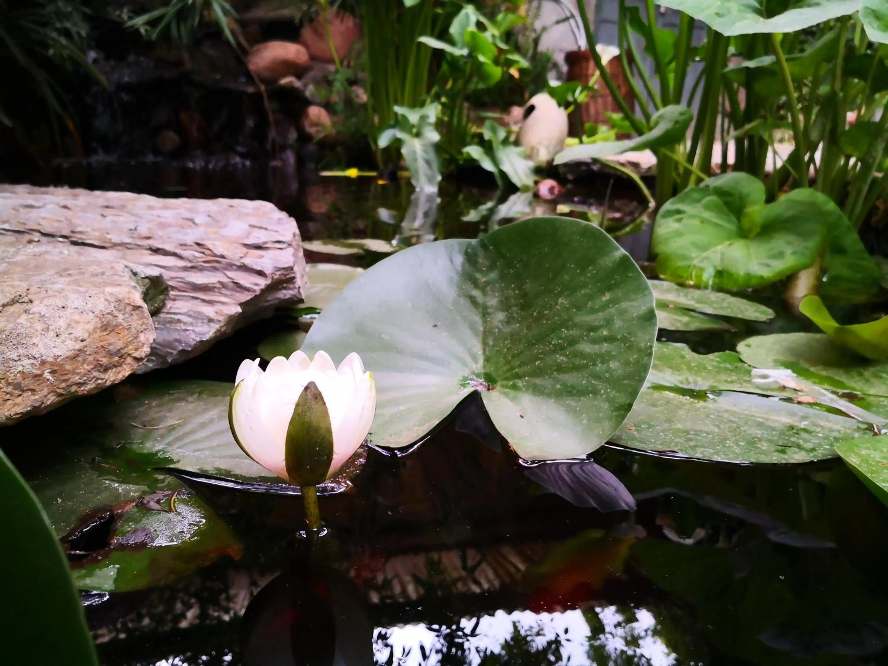 Garden view in Zia Chiarina