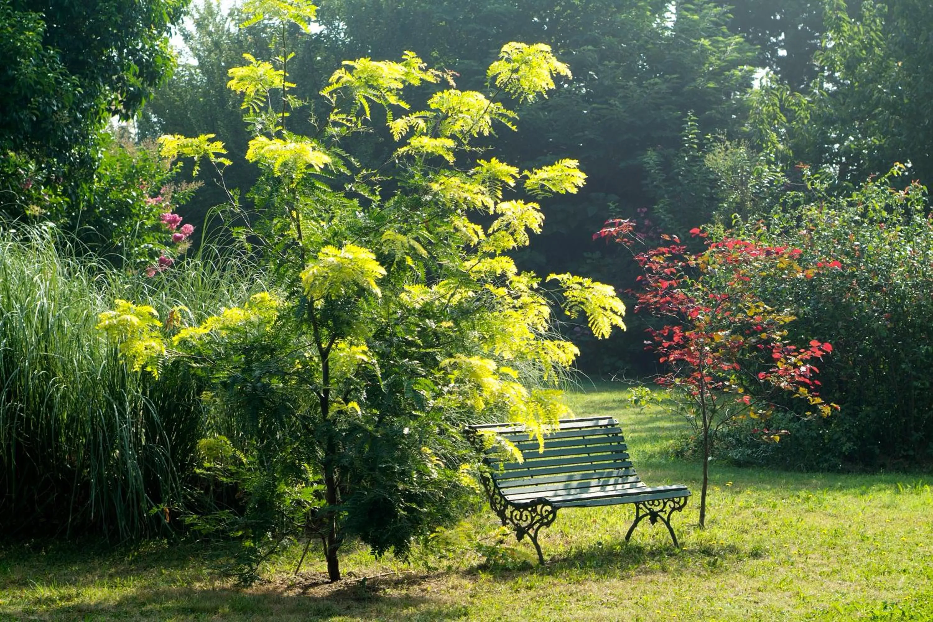 Garden in Mas de la Chapelle
