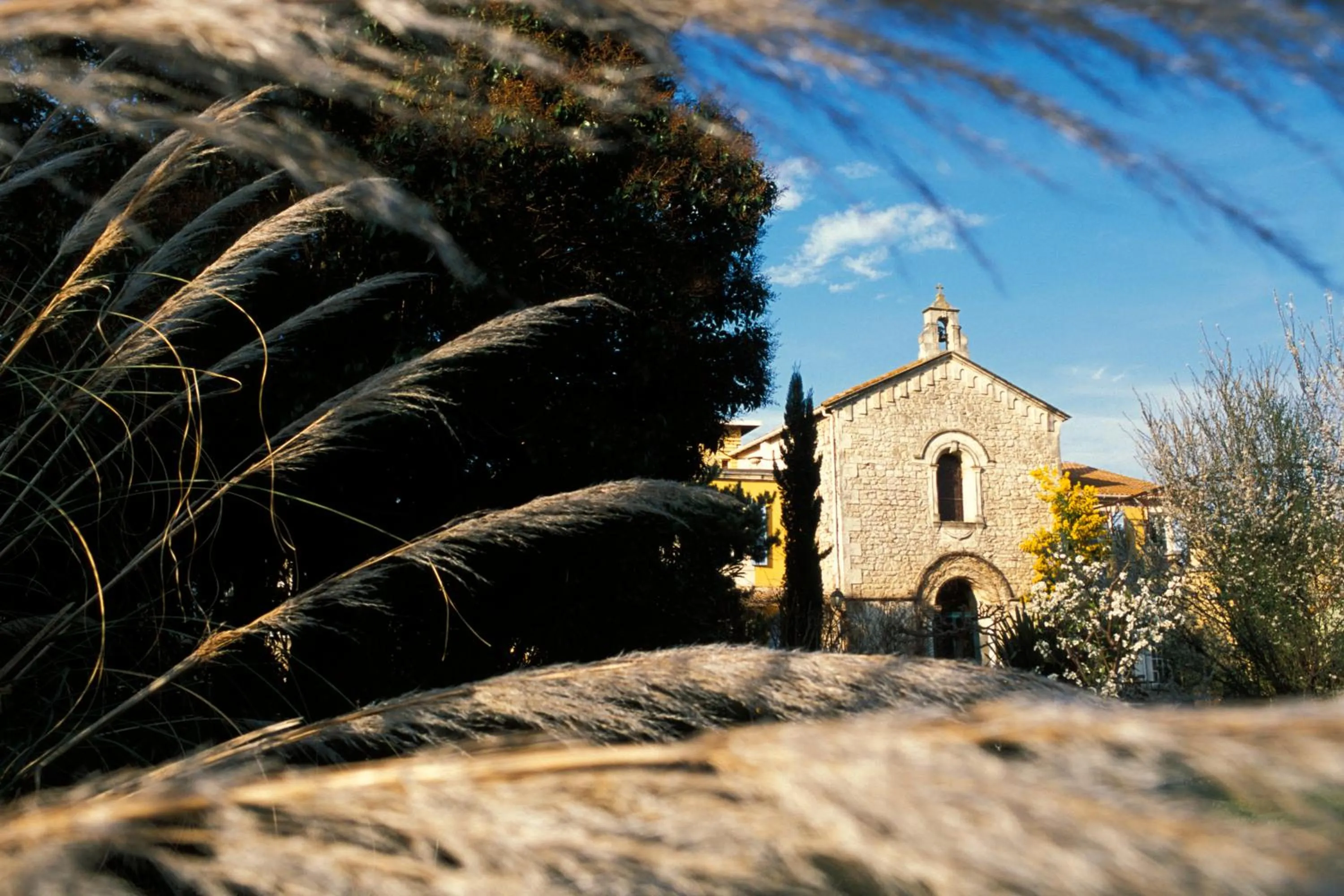 Area and facilities in Mas de la Chapelle