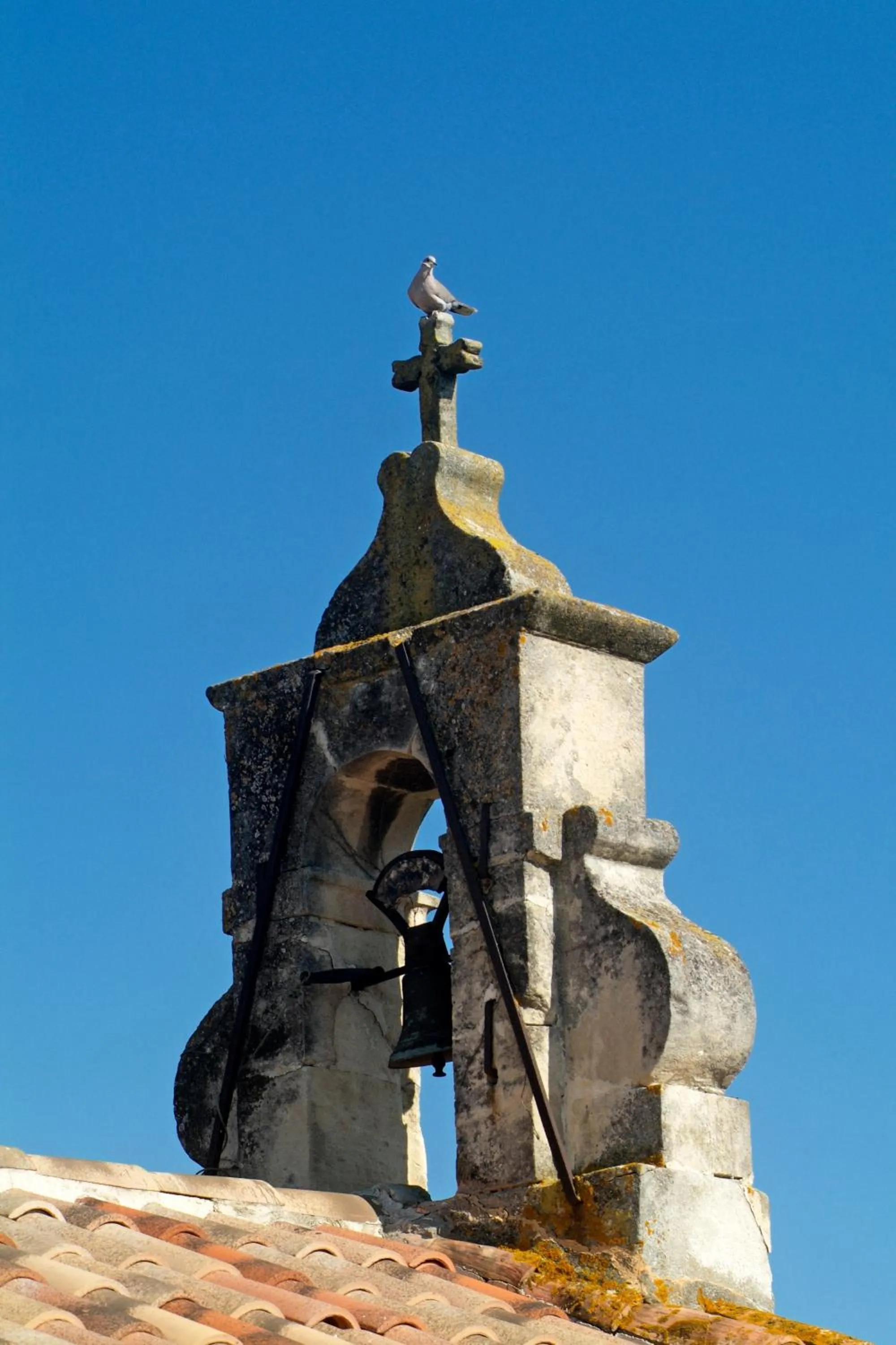 Area and facilities in Mas de la Chapelle