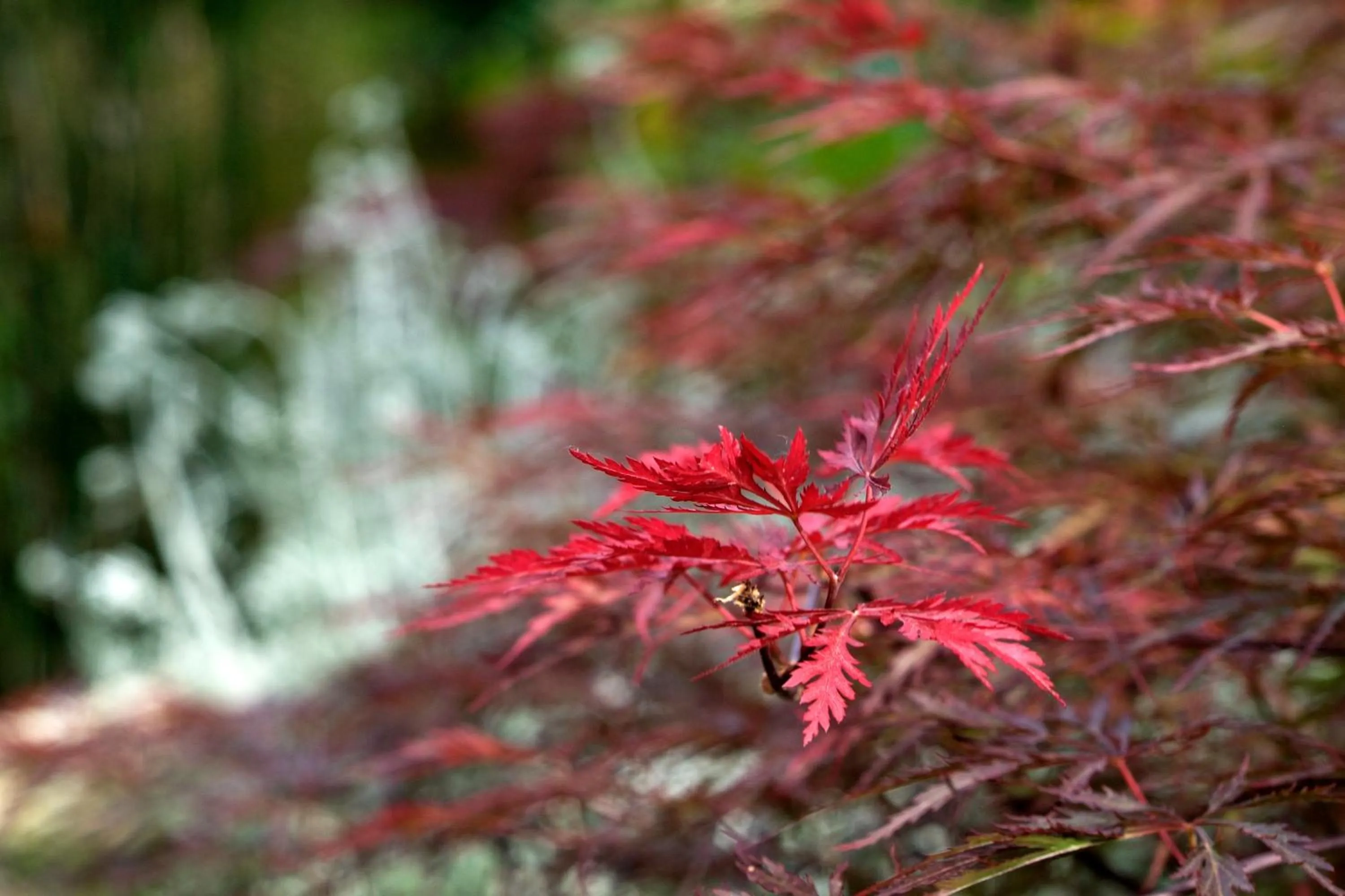 Other in Mas de la Chapelle